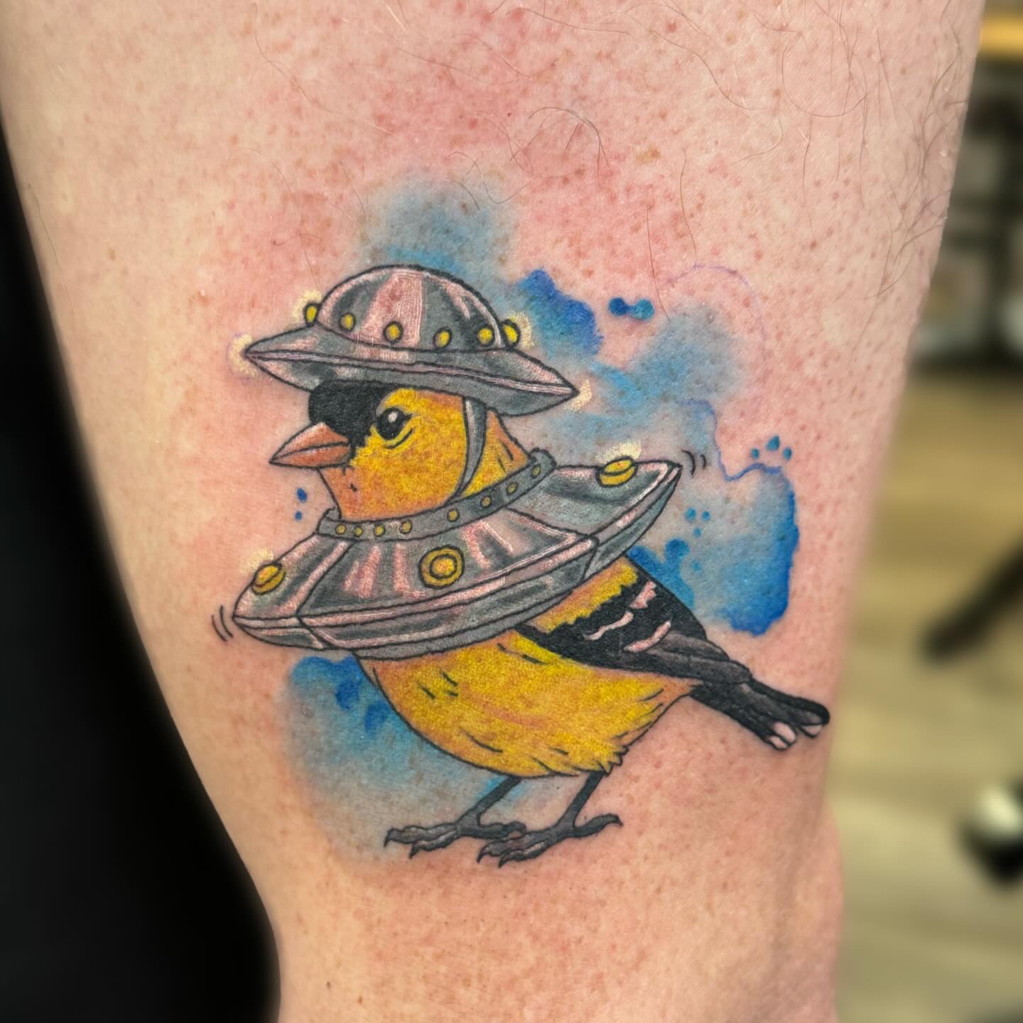 Bird wearing space helmet watercolor tattoo on the forearm by Elly Bordwell
