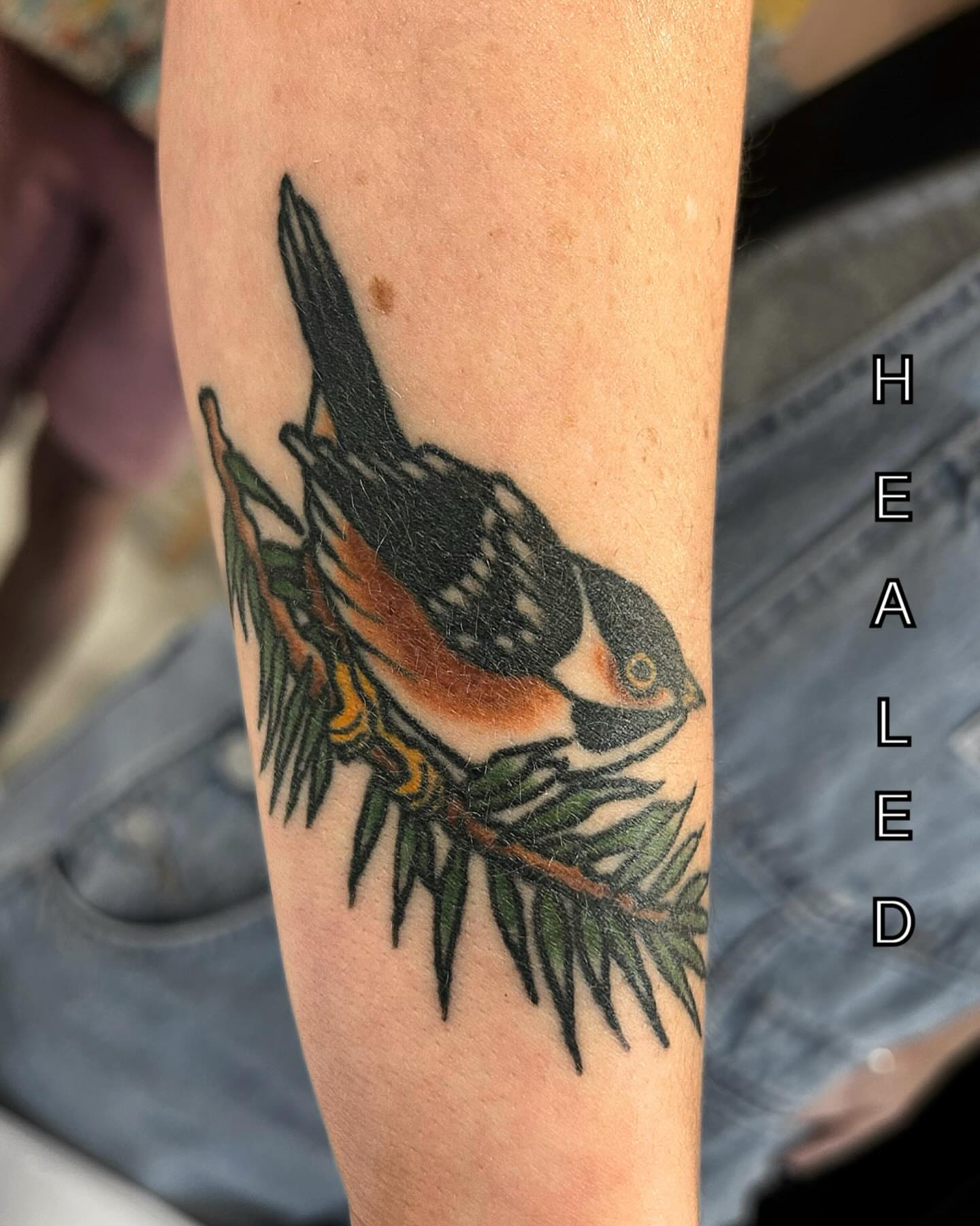Tattoo by @olaf.tattoos — american_traditional