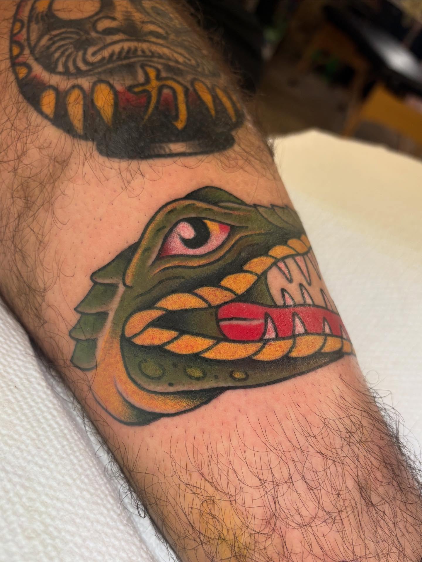 Alligator American traditional tattoo on the forearm by ๐ต๐๐๐๐ ๐ฎ๐๐๐๐๐๐, New Orleans, Louisiana