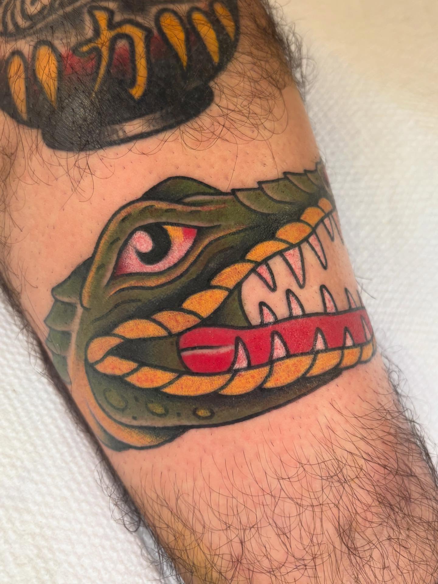 Alligator American traditional tattoo on the forearm by ๐ต๐๐๐๐ ๐ฎ๐๐๐๐๐๐, New Orleans, Louisiana
