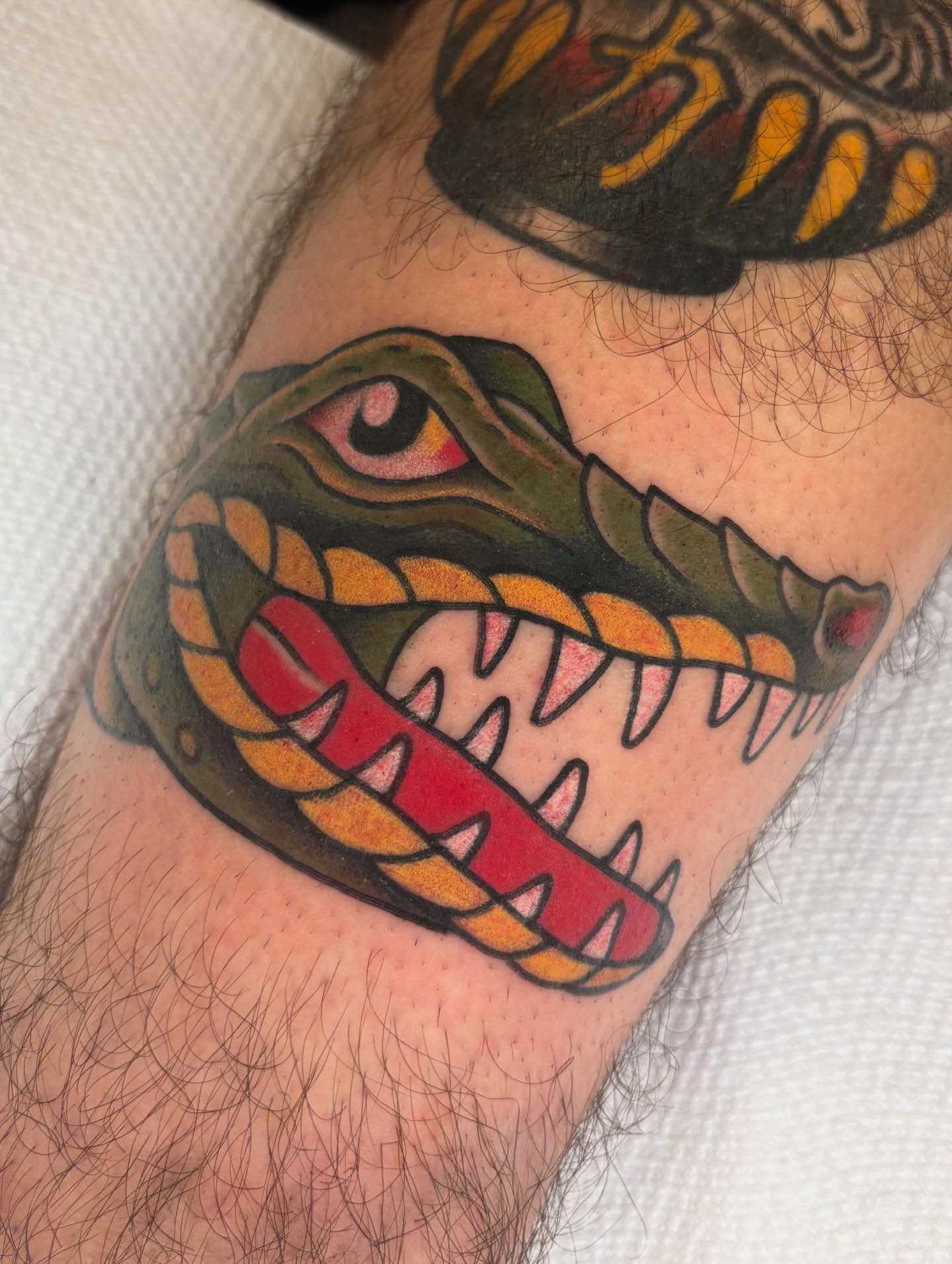 Alligator American traditional tattoo on the forearm by ๐ต๐๐๐๐ ๐ฎ๐๐๐๐๐๐, New Orleans, Louisiana