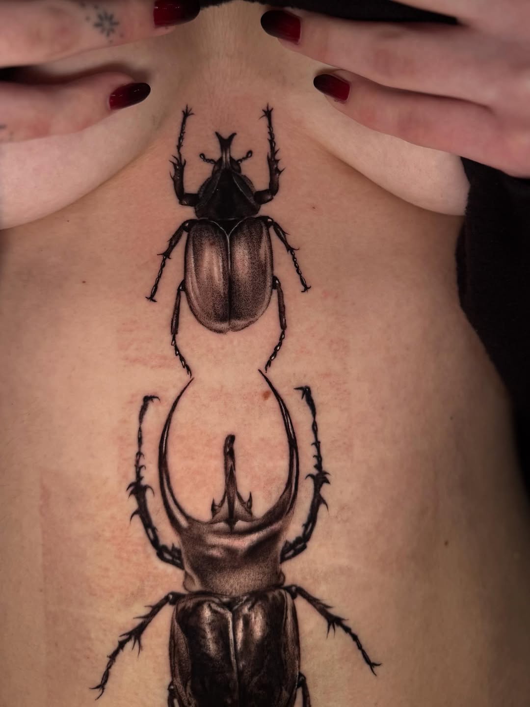 Two beetles fine line tattoo on the back by Isabel Smith🦋🕷️