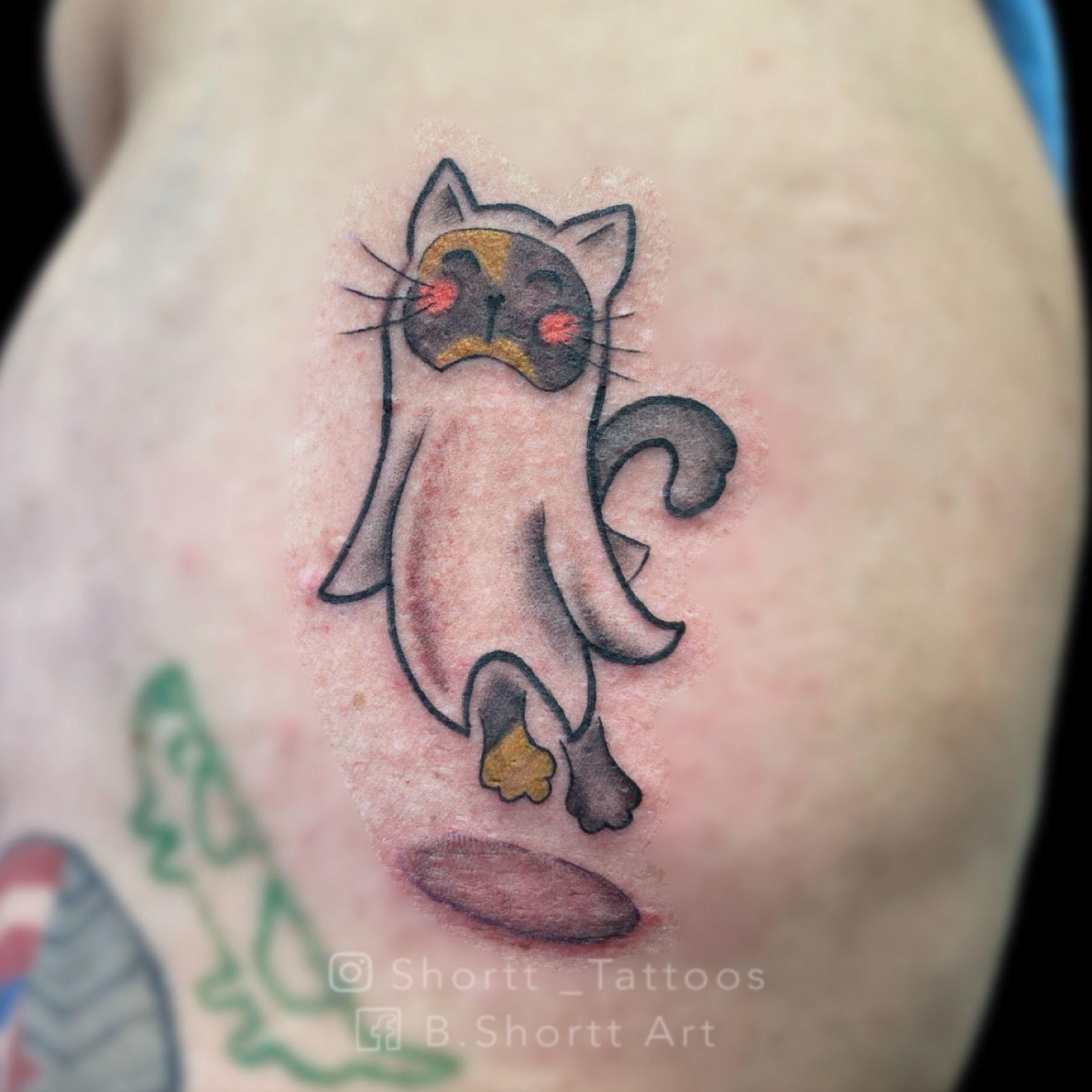 Cat American traditional tattoo on the shoulder by Brie Marie