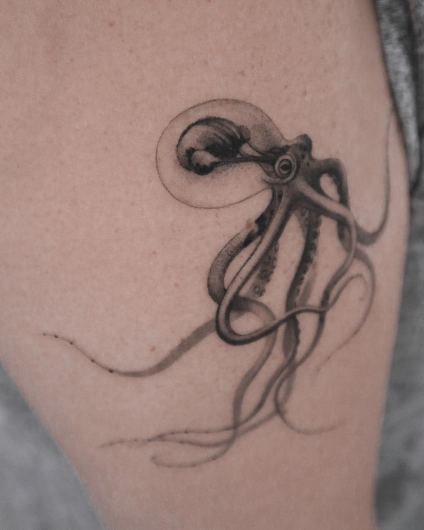 Octopus black and grey tattoo on the forearm by River, New York, New York