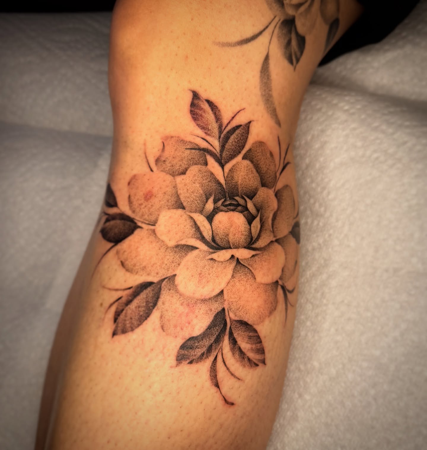 Peony dotwork tattoo on the forearm by Jacob Deirfield, Circleville, Ohio