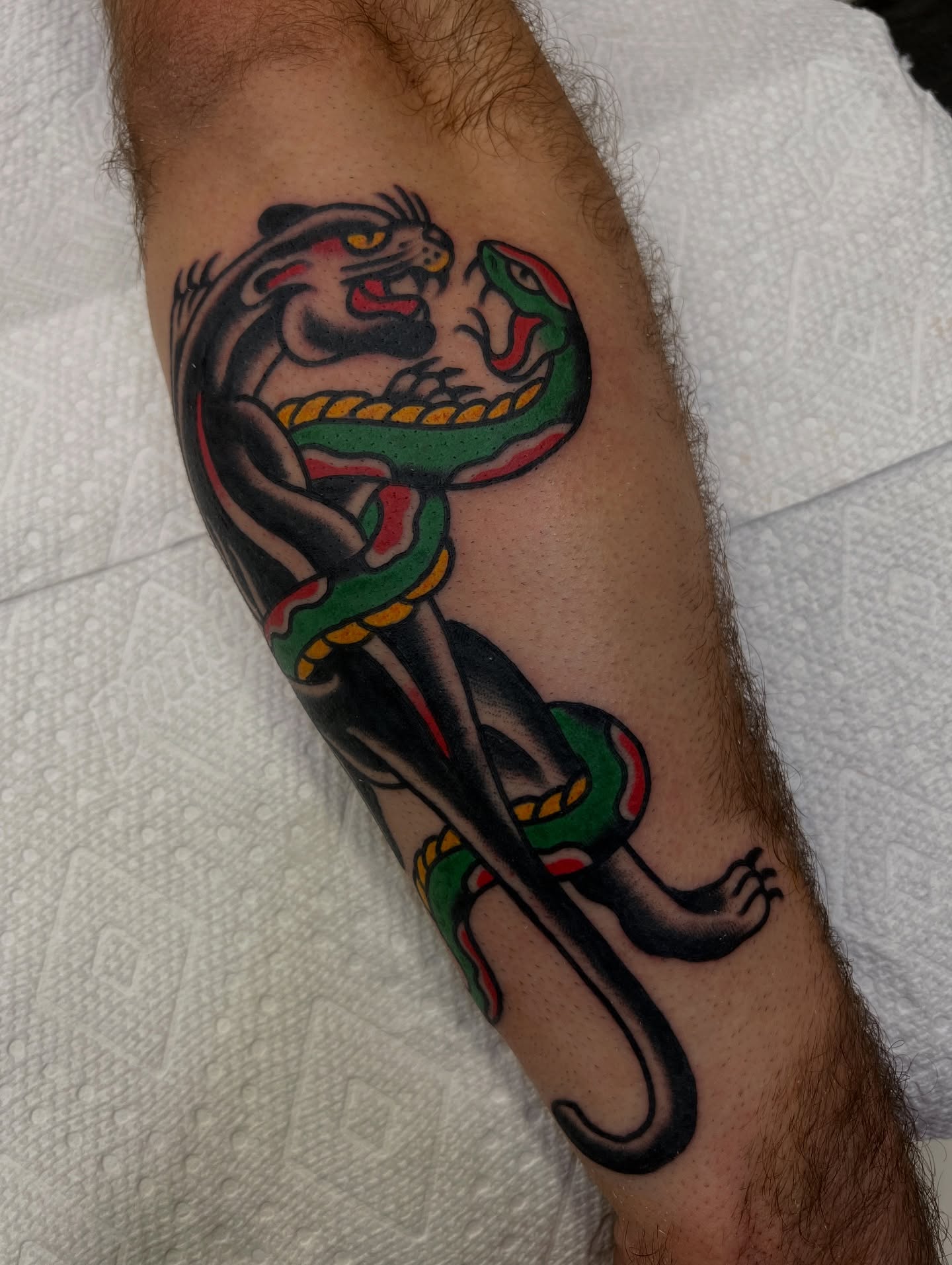 Snake and panther American traditional tattoo on the forearm by Alva - DFW Tattoo Artist