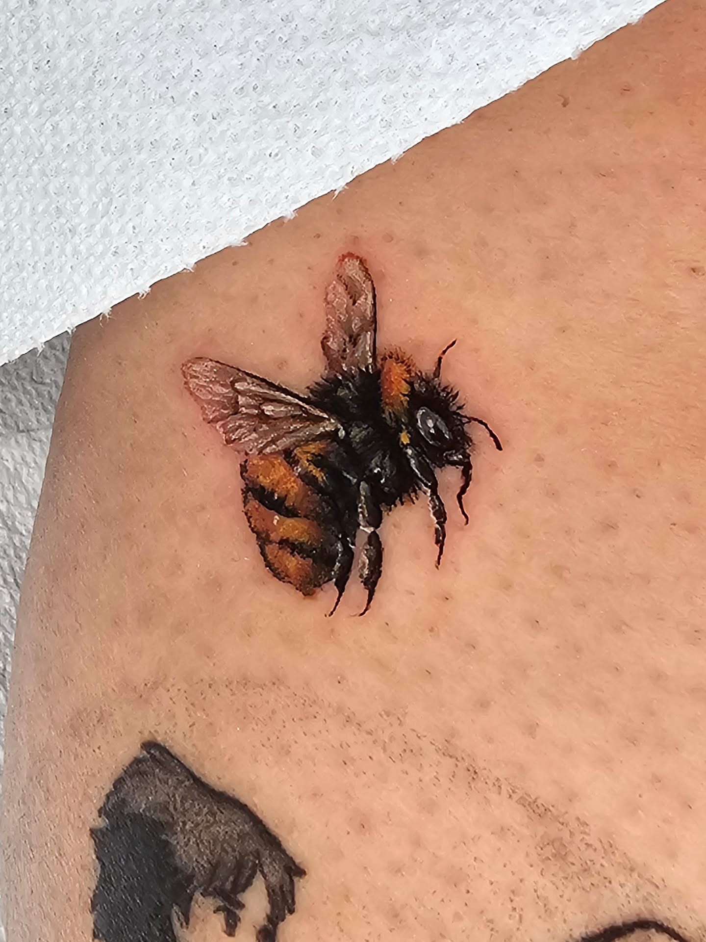 Tattoo by @madelynne_art_ — realism