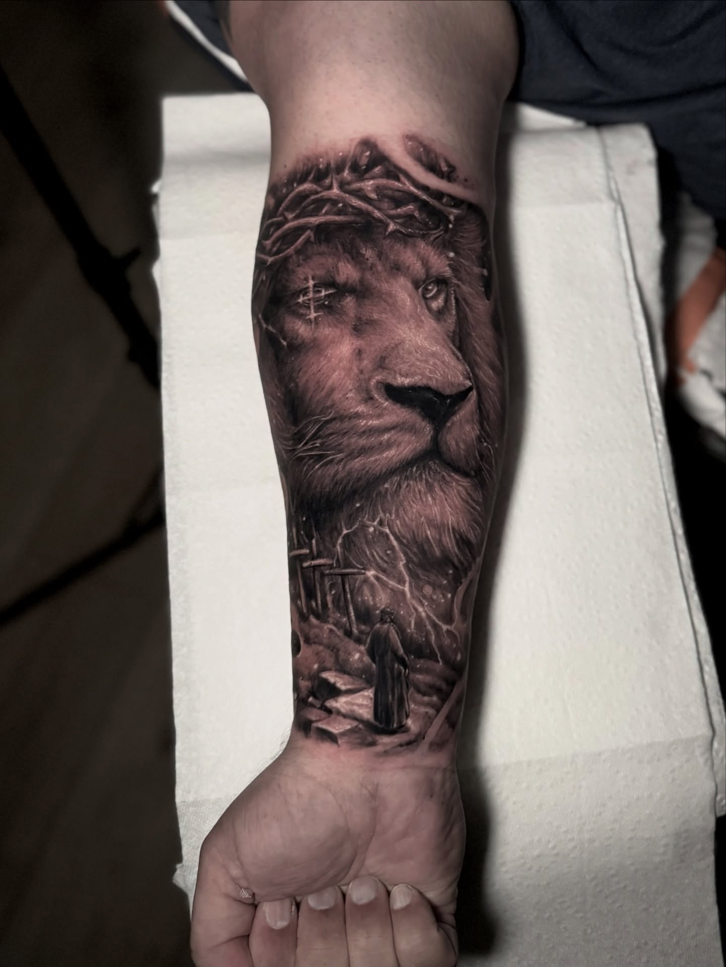 Lion realism tattoo on the forearm by Justin (iam3) Leifeste