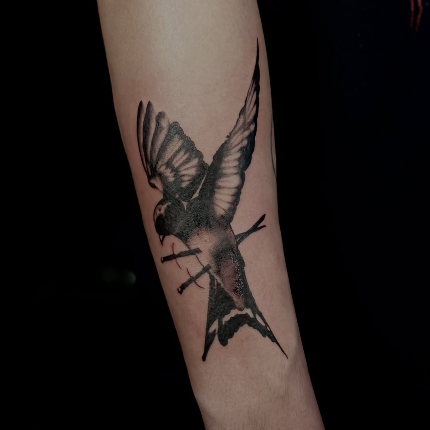 Bird realism tattoo on the forearm by πΎππ π π·ππ πππππ πΏπππππ π¬πππππ