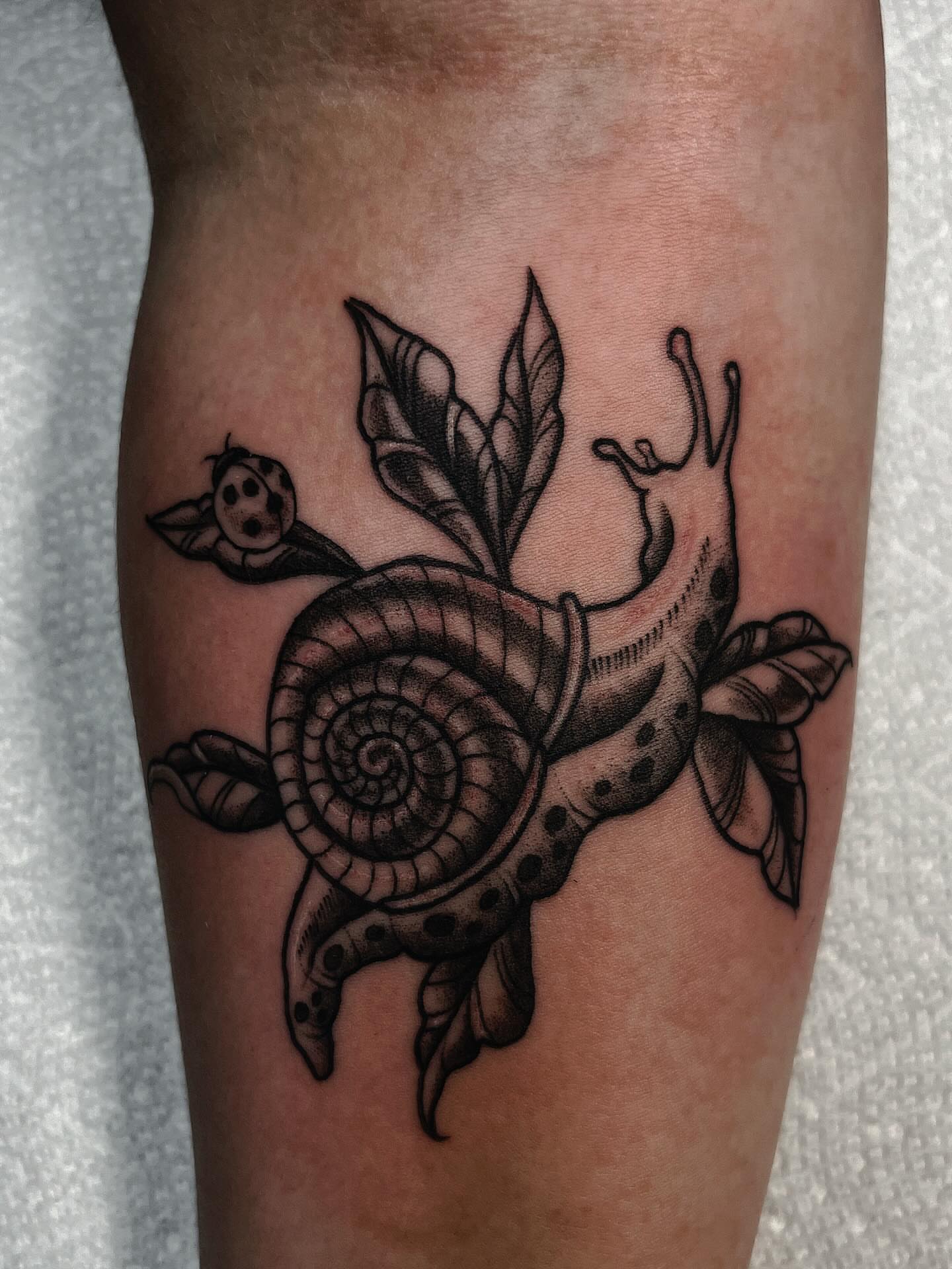 Snail and leaves black and grey tattoo on the forearm by β
πΈππππ β