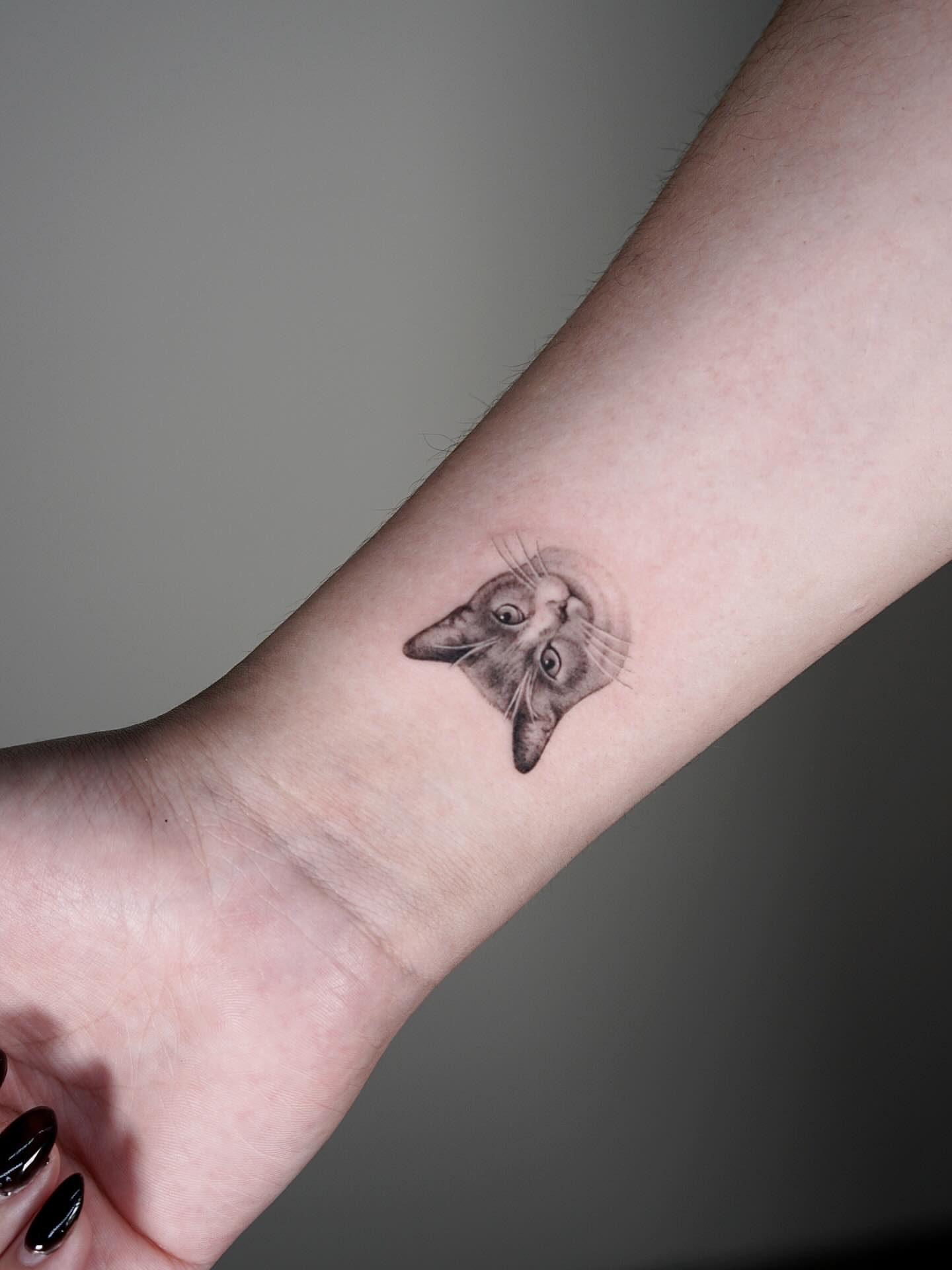 Cat realism tattoo on the forearm by Alissa Jung