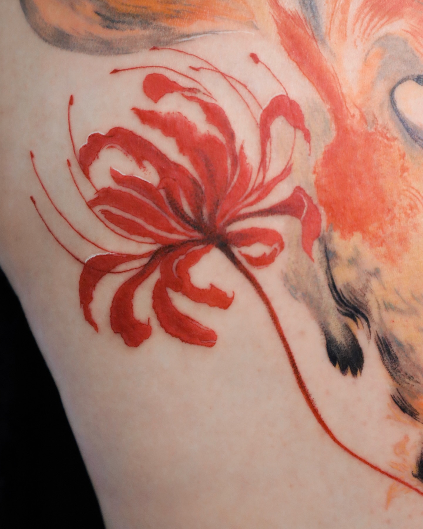 Red flower watercolor tattoo on the upper arm by Sylvia｜思岐, Vancouver, British Columbia