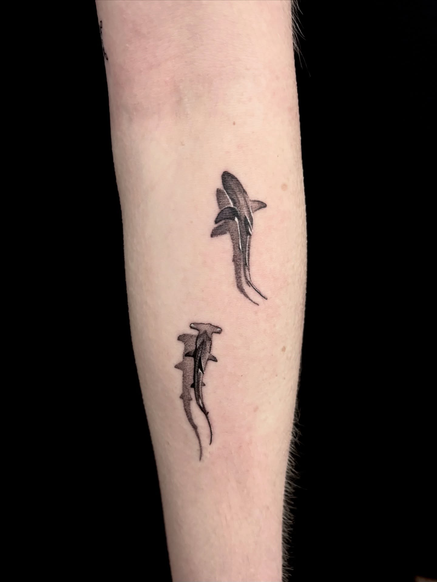 Tattoo by @letmechangemyusernamepleaseomg — black_and_grey