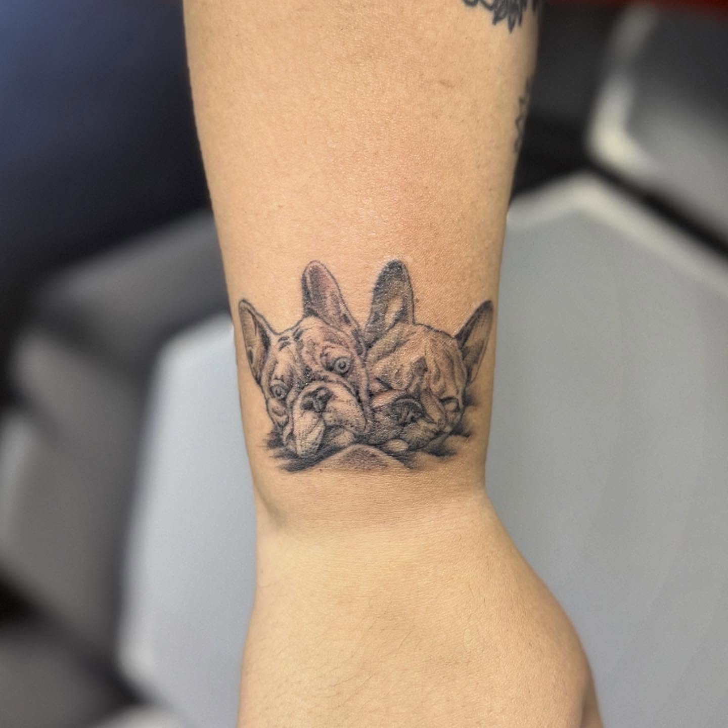 French bulldog realism tattoo on the forearm by Manny