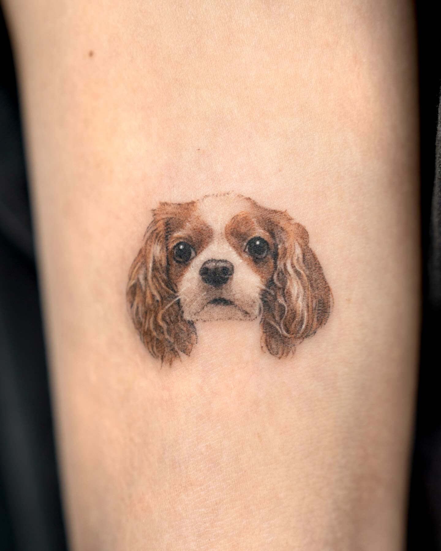 Dog realism tattoo on the forearm by Zeeyo 지요