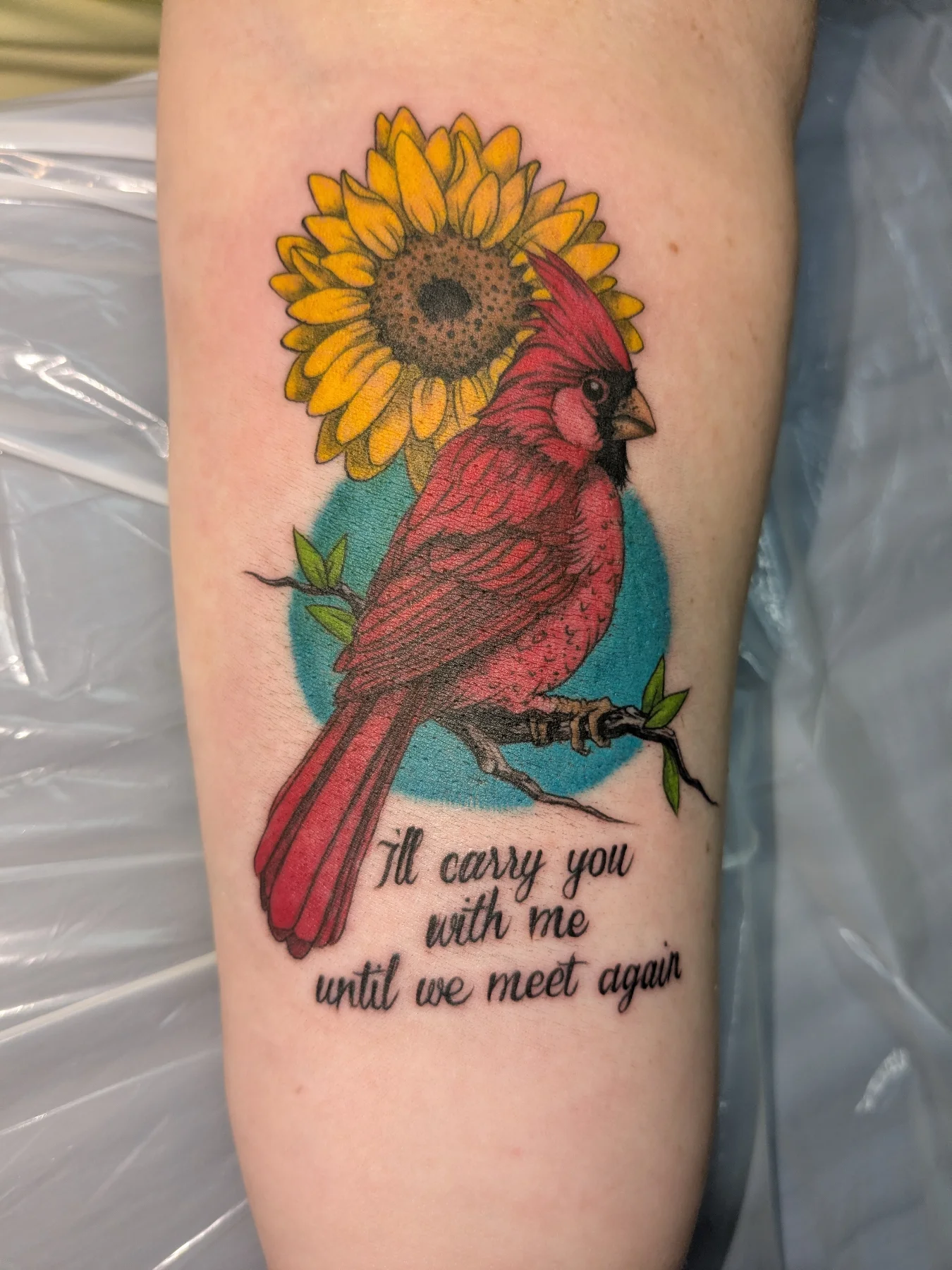 Cardinal and sunflower realism tattoo on the forearm by Jessica Thomas Fleischman, Morganton, North Carolina