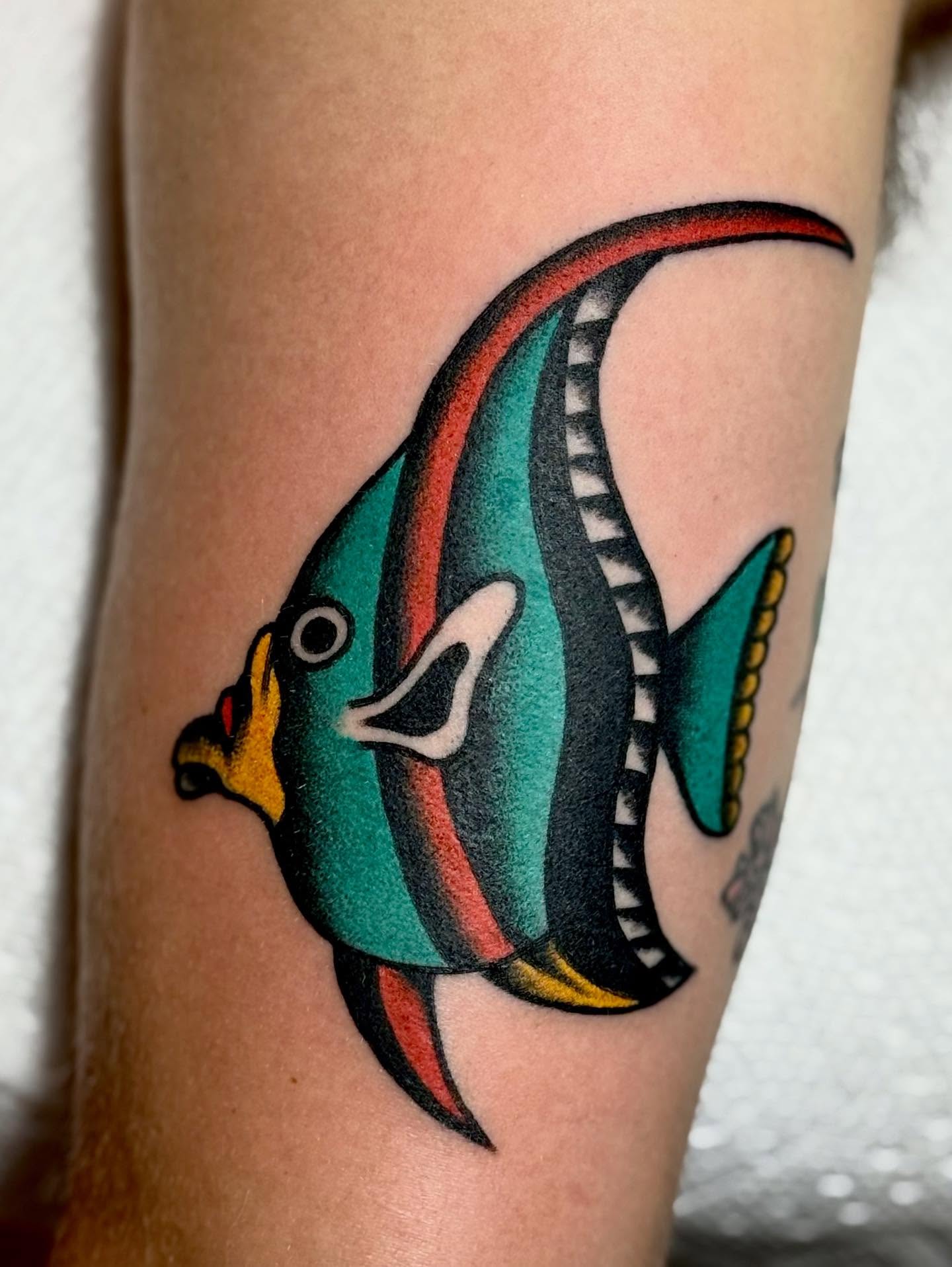Angelfish American traditional tattoo on the forearm by San Diego tattoo artist