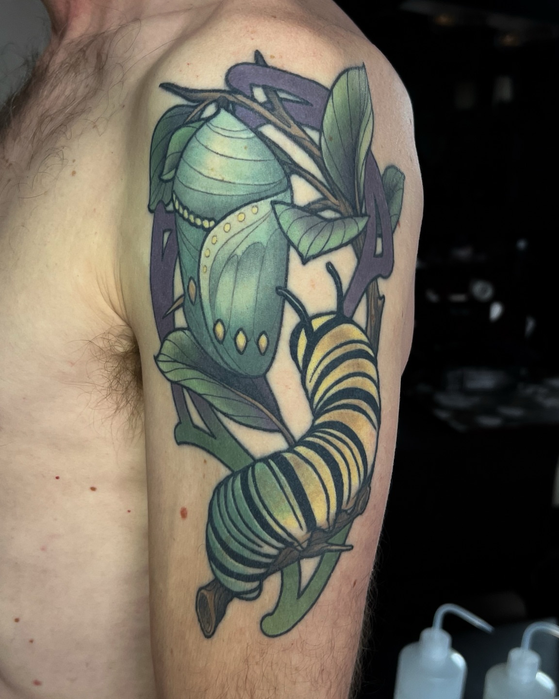 Tattoo by @hannahsteeleart — realism, illustrative