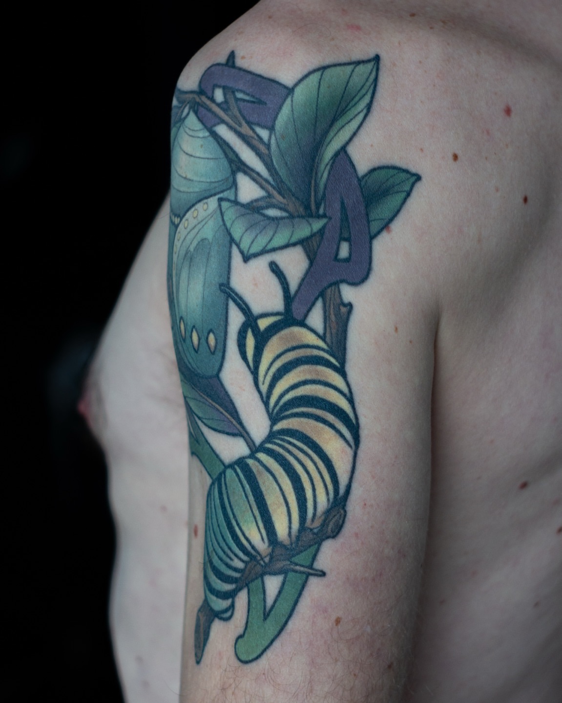 Tattoo by @hannahsteeleart — american_traditional