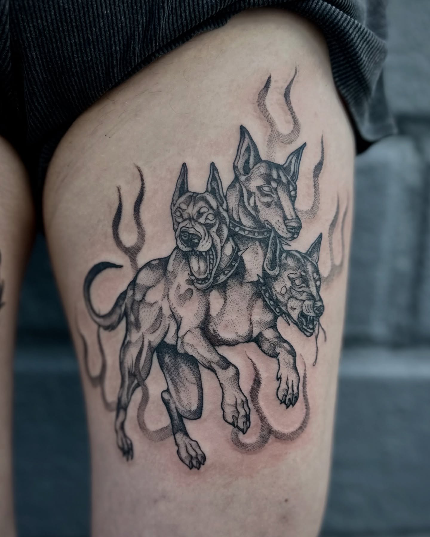 Three dogs black and grey tattoo on the thigh by โฃ ๐ฝ๐๐๐๐๐ ๐ฟ๐๐๐๐๐๐๐๐๐๐๐ โฃ