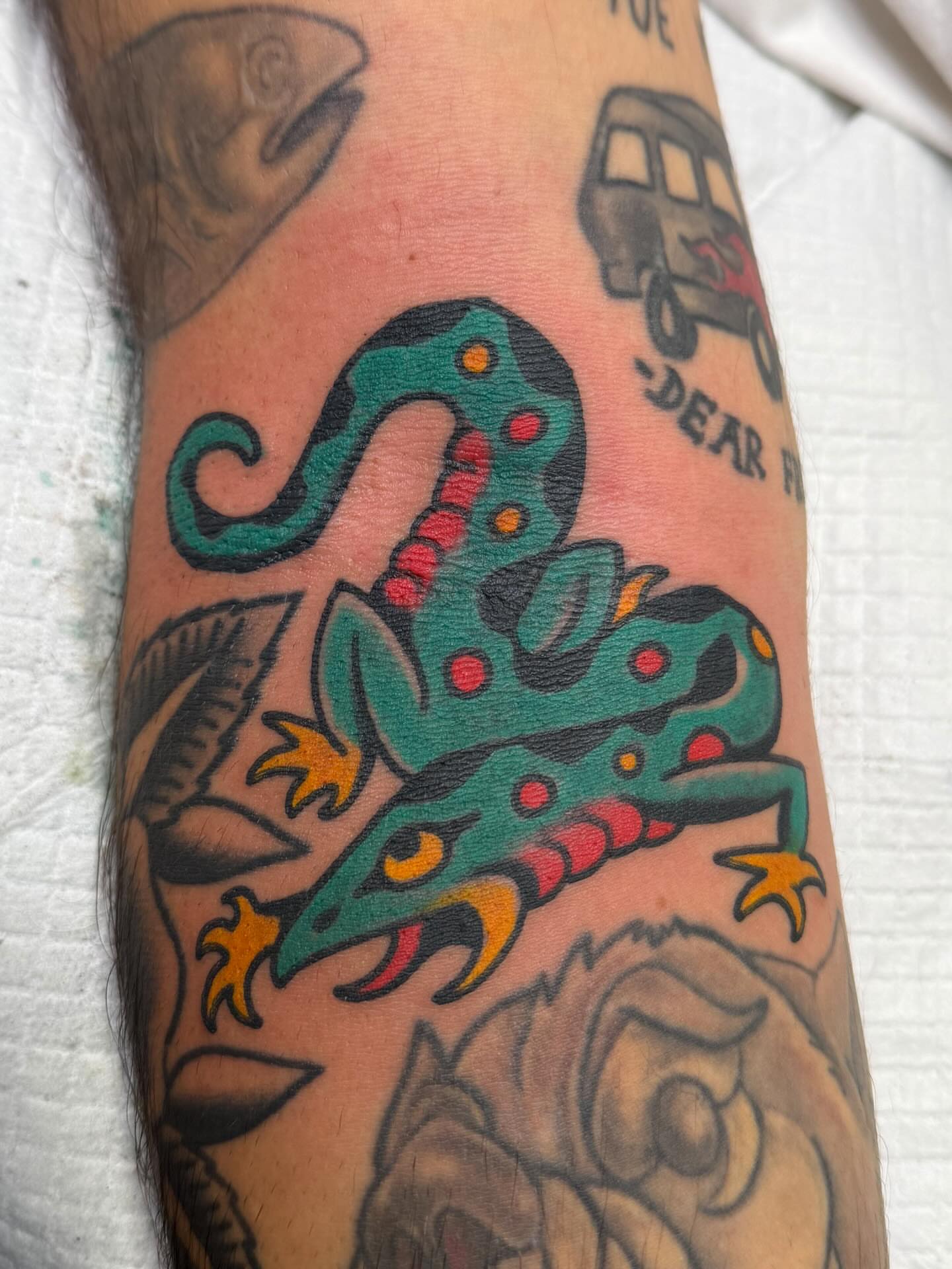 Gecko American traditional tattoo on the forearm by Danny Reed, Asheville, North Carolina