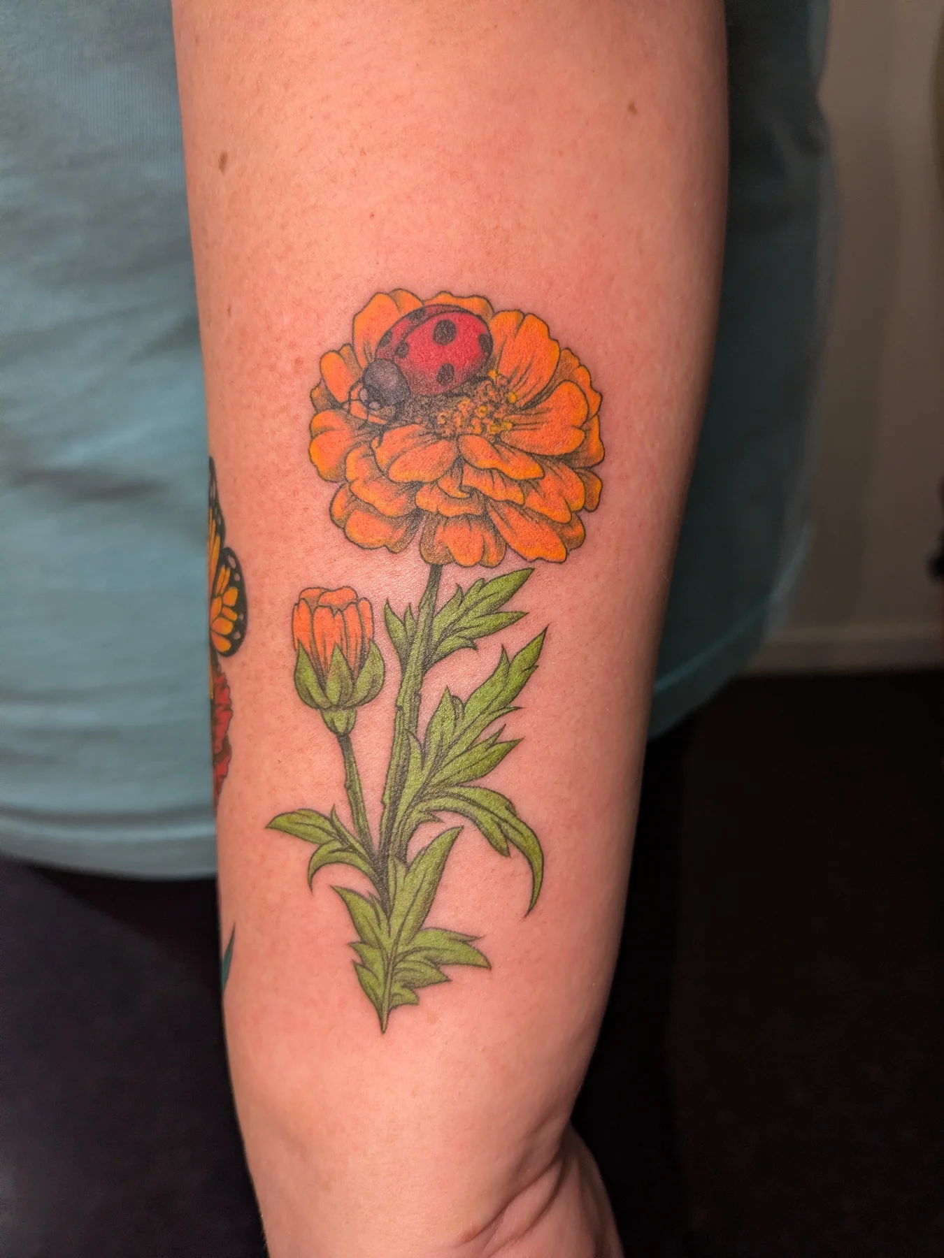 Orange flower with ladybug realism tattoo on the forearm by Jessica Thomas Fleischman, Morganton, North Carolina