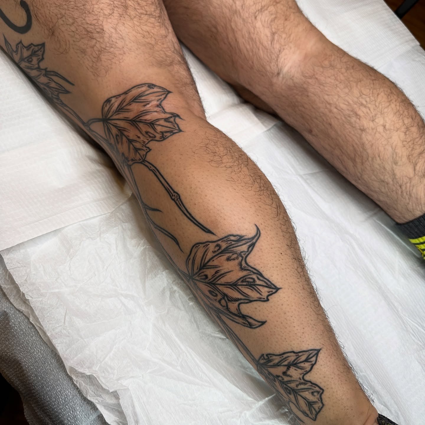Maple leaves black and grey tattoo on the calf by rosalie