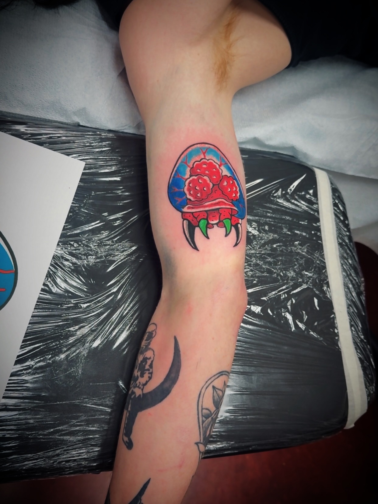 Mushroom with roses neo-traditional tattoo on the forearm by Julian Olson