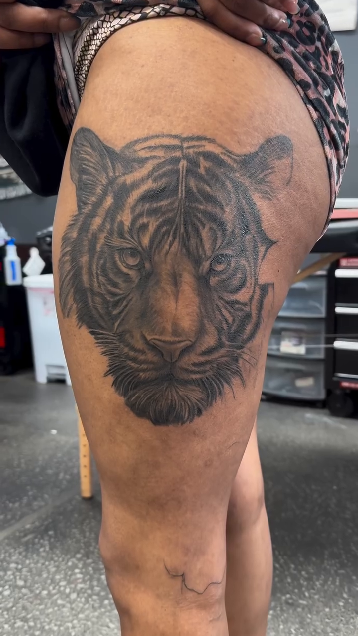 Tiger face realism tattoo by Montana