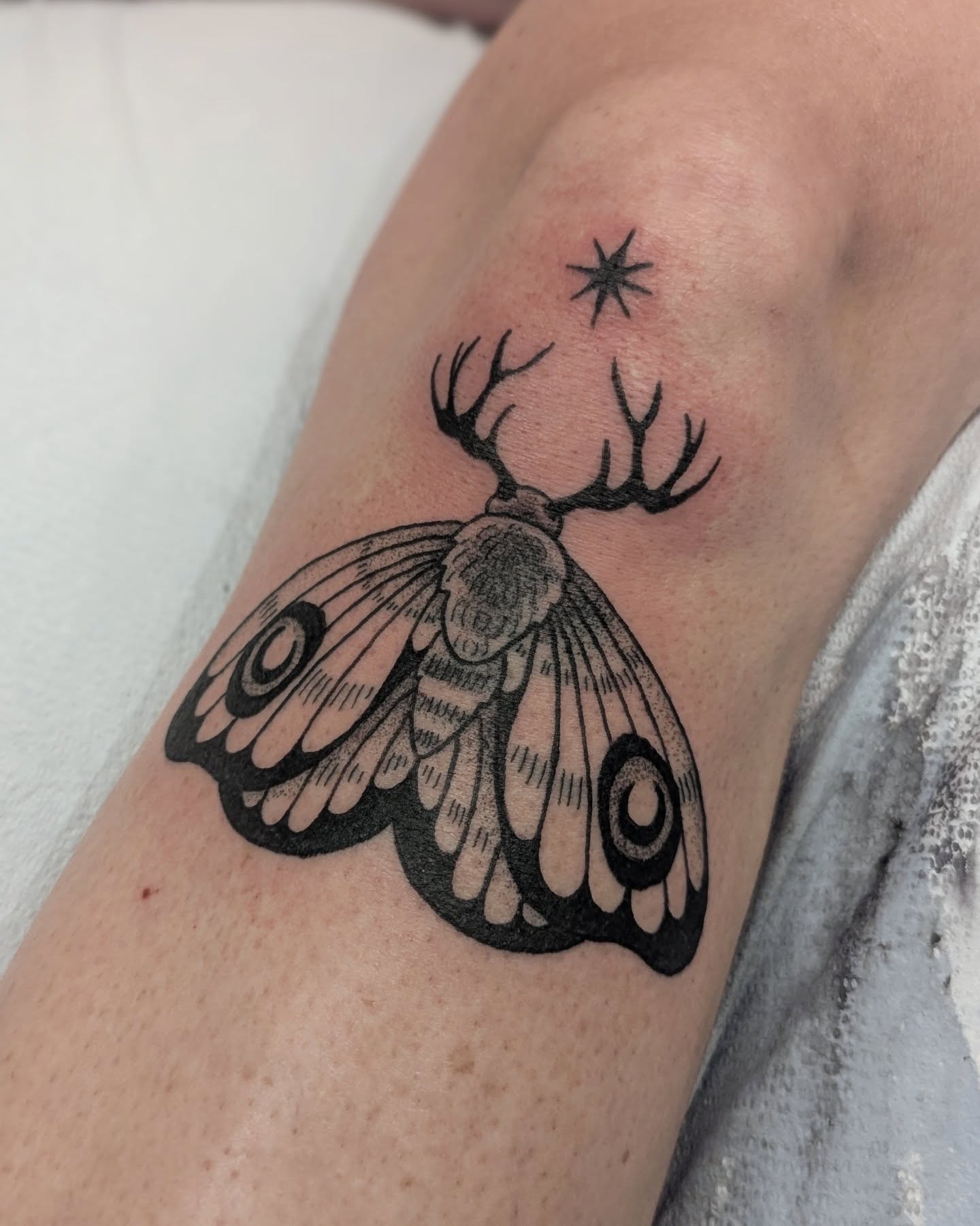 Moth with antlers black and grey tattoo on the forearm by Dani Harkey