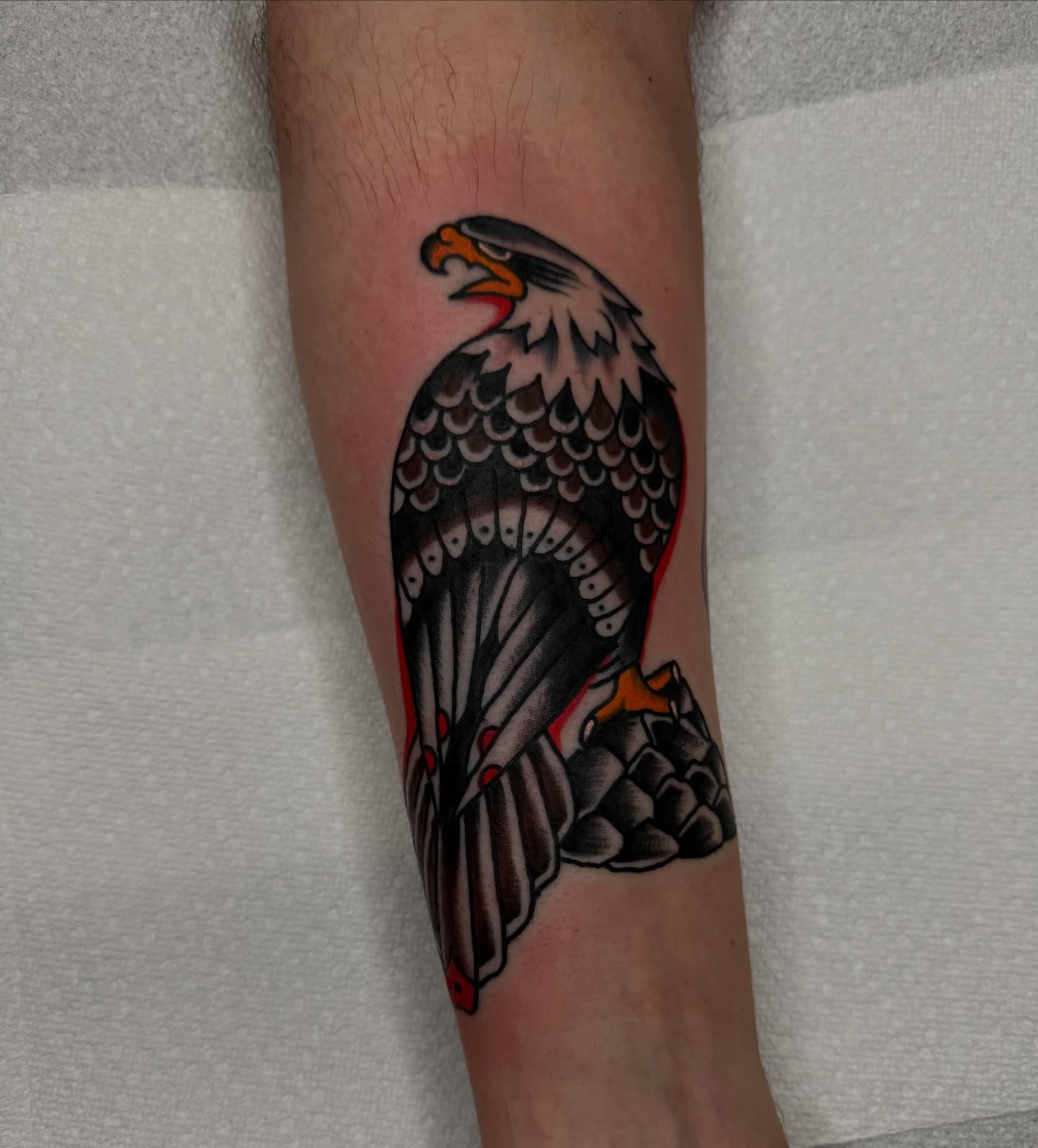 Eagle American traditional tattoo on the forearm by Noah Diffenderfer, Phoenix, Arizona