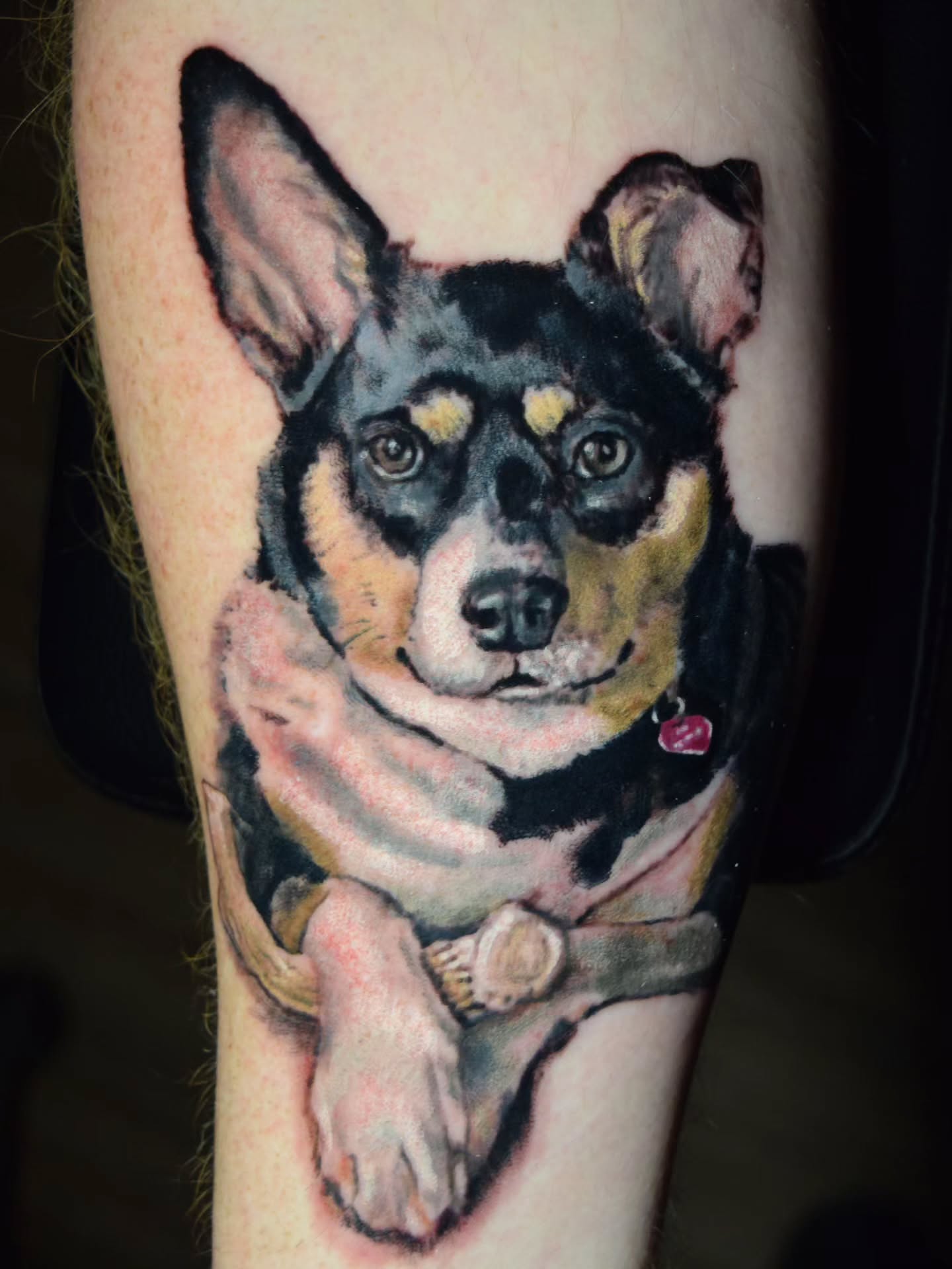 Dog portrait realism tattoo on the forearm by Bruce Riehl