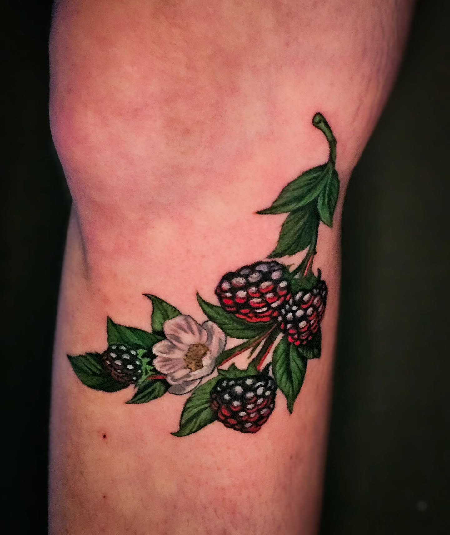 Tattoo by @squiddiepop — realism