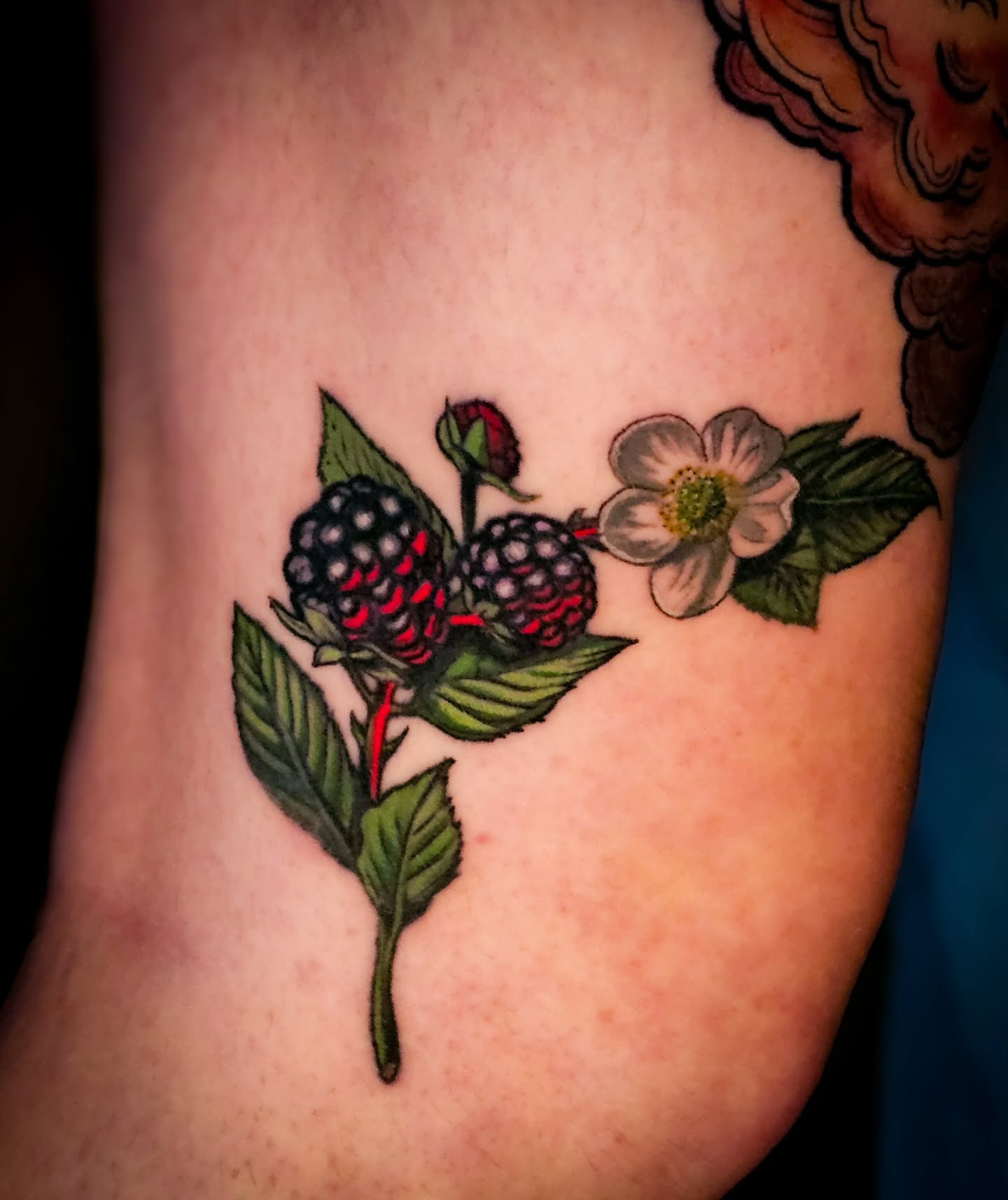 Tattoo by @squiddiepop — american_traditional