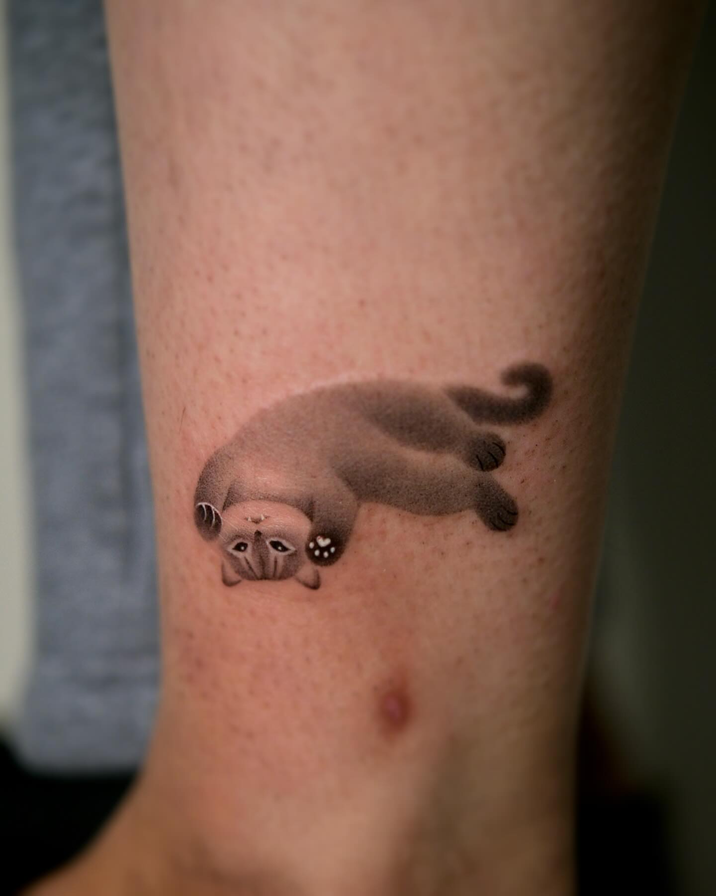 Tattoo by @toki.tattoos — realism