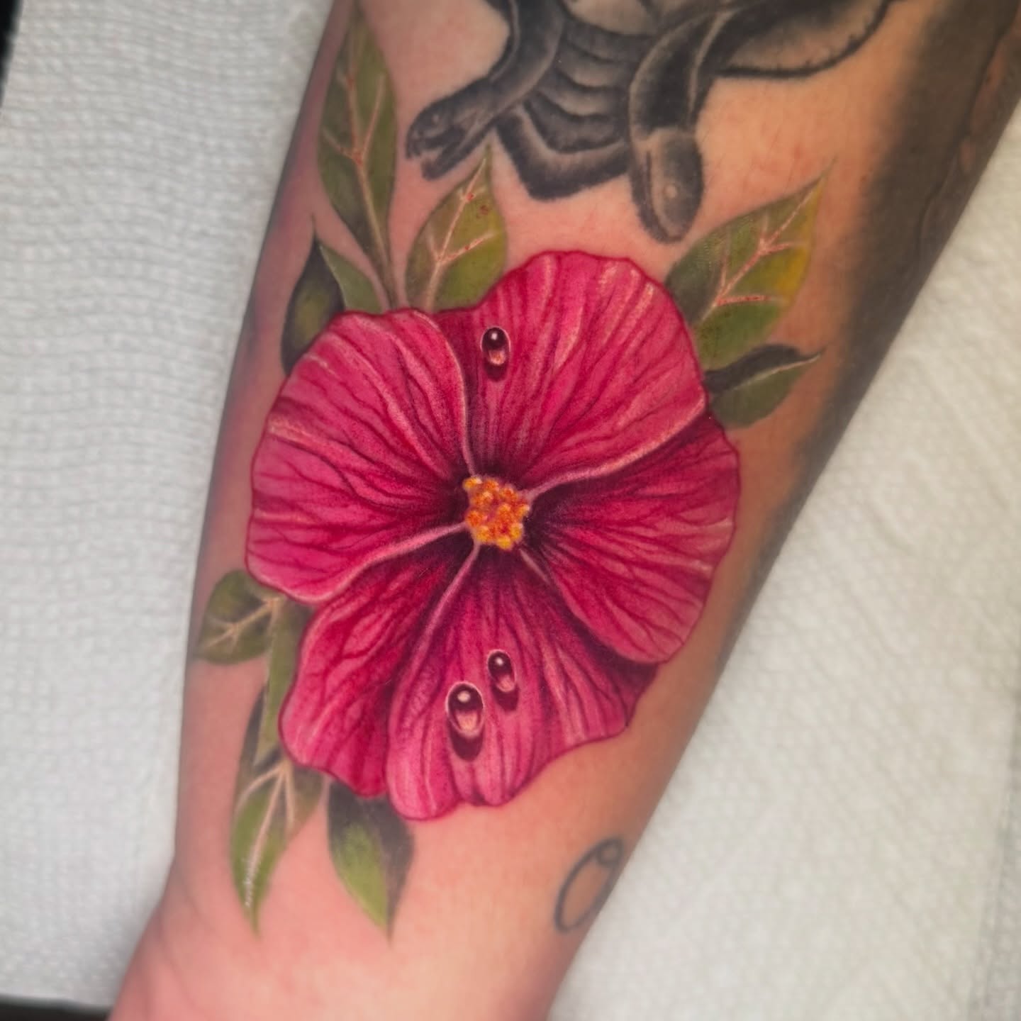 Tattoo by @stephtattoos_ โ realism