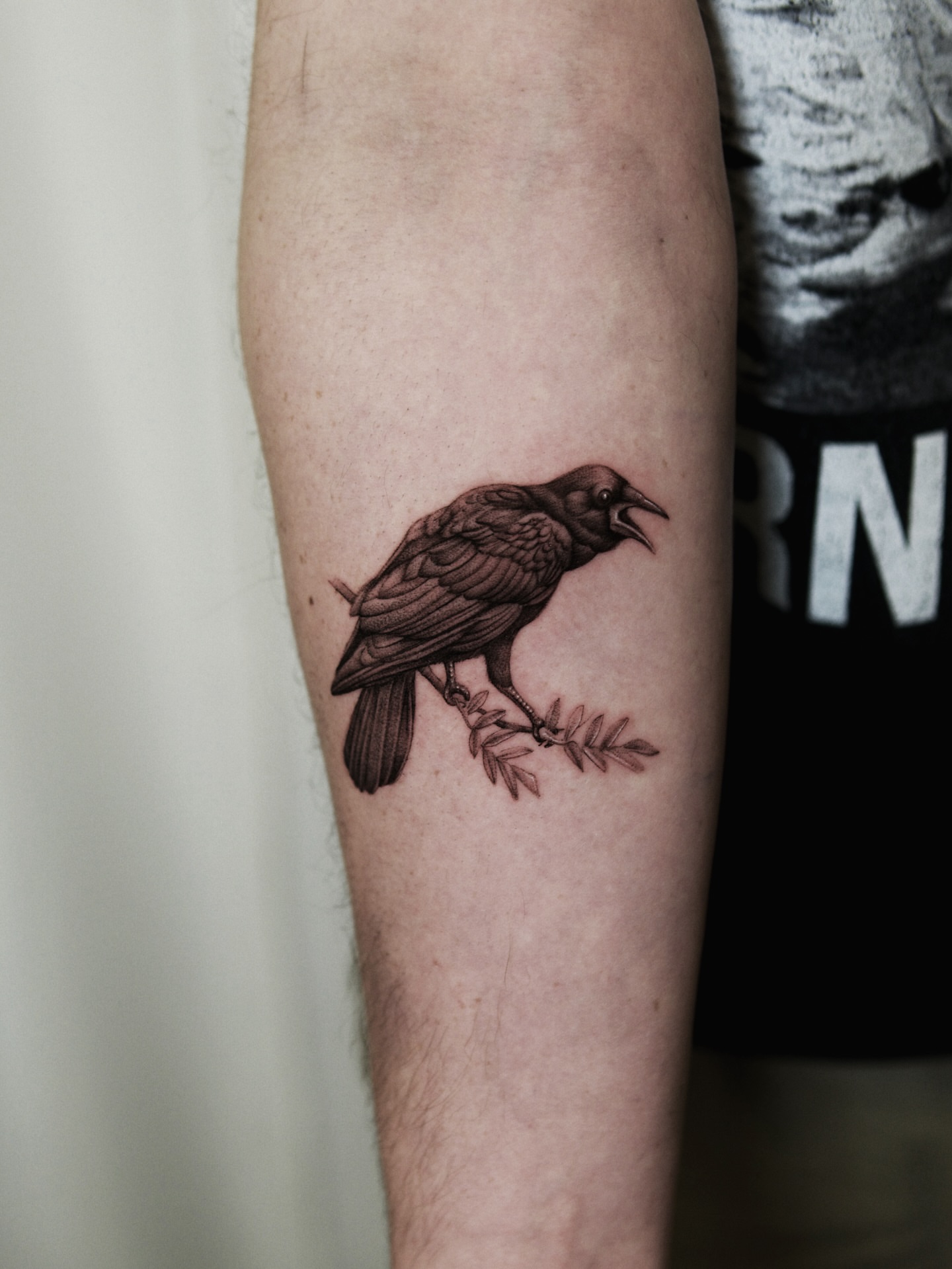 Crow realism tattoo on the forearm by Ray Quinday