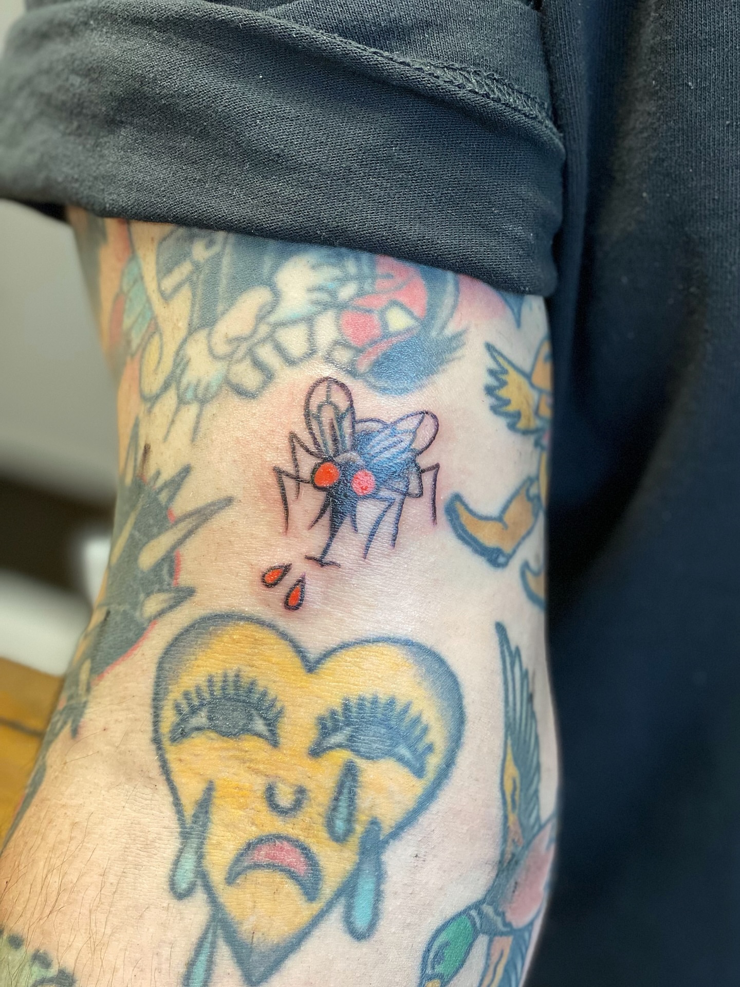 Fly American traditional tattoo on the forearm by Corinne Carter