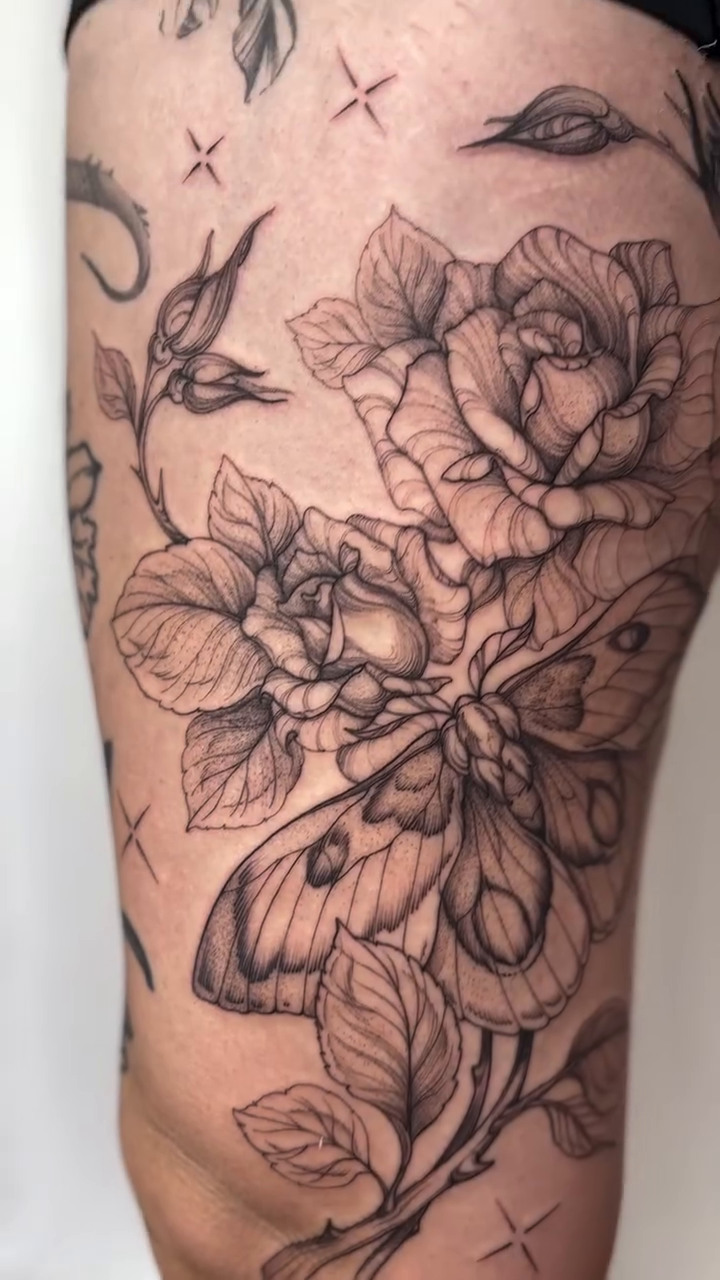 Roses and moths fine line tattoo by vaprol tattoo ✧ Boston
