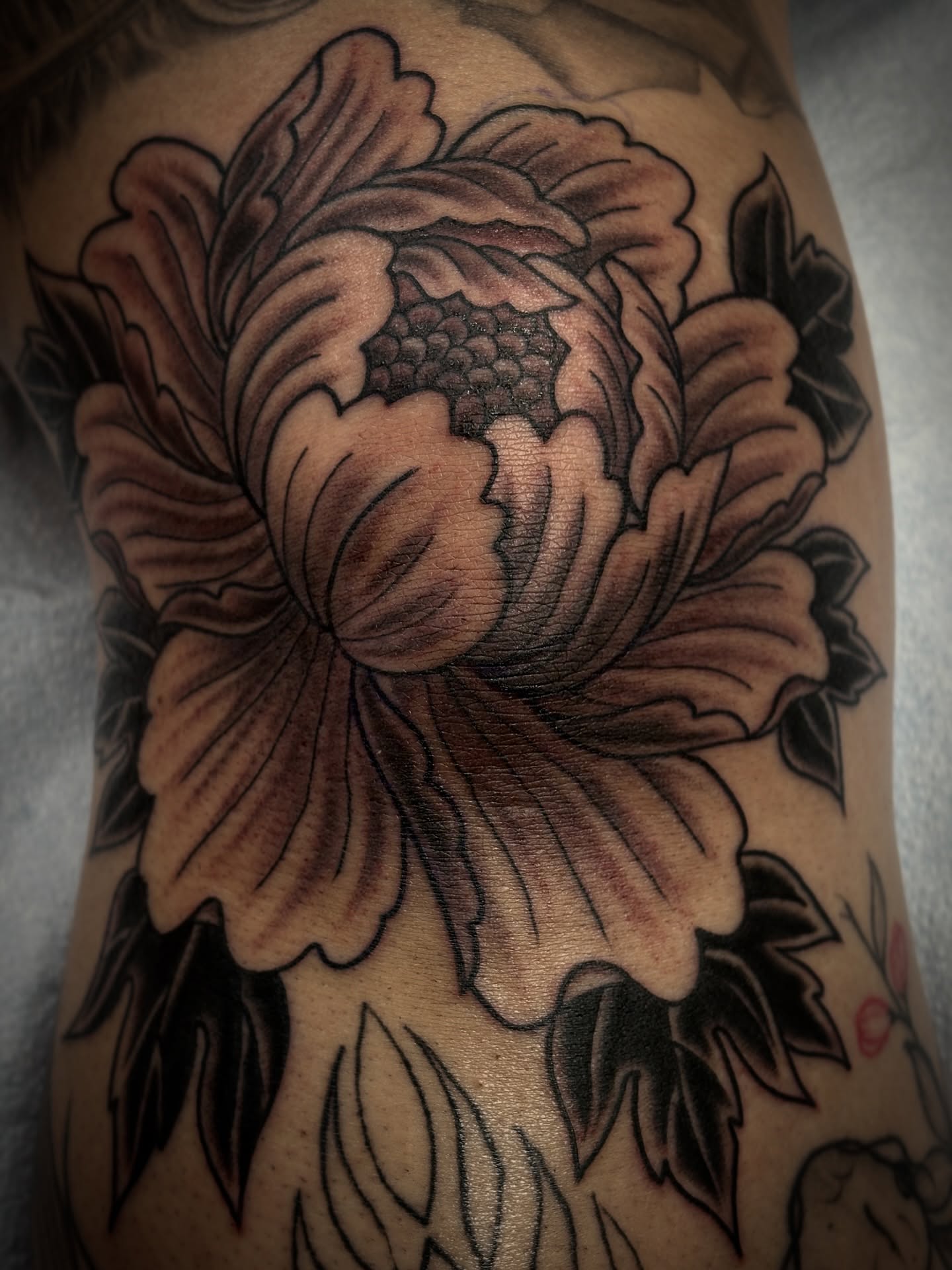 Peony black and grey tattoo on the forearm by Carlos Gonzalez Tattoo, Dallas, Texas