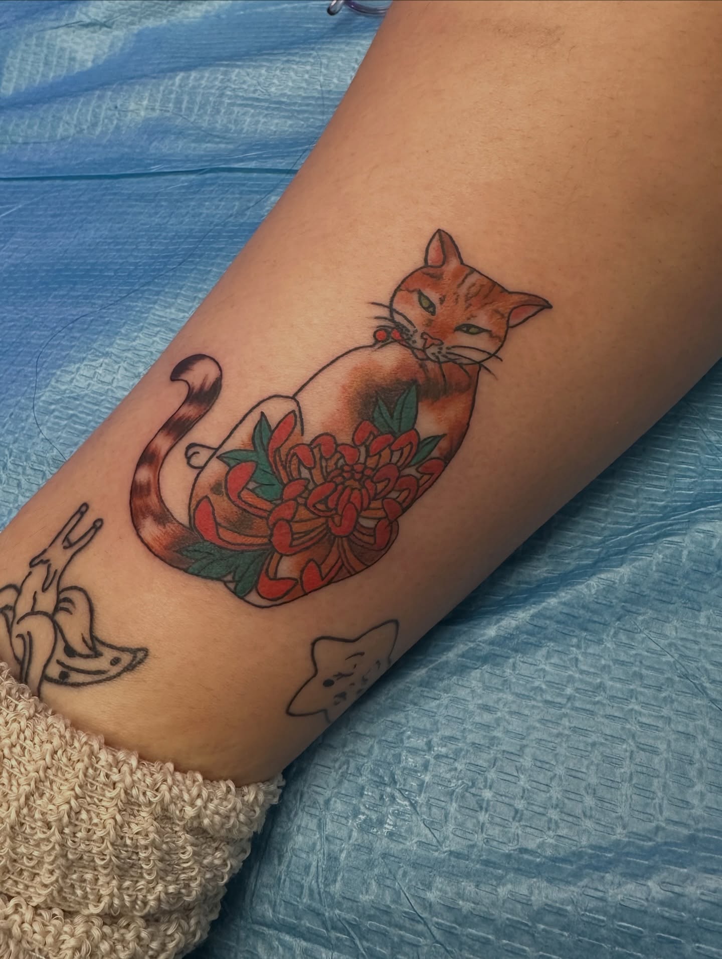 Cat and flower American traditional tattoo on the forearm by Carly🪲 greensboro tattoo artist, Greensboro, North Carolina