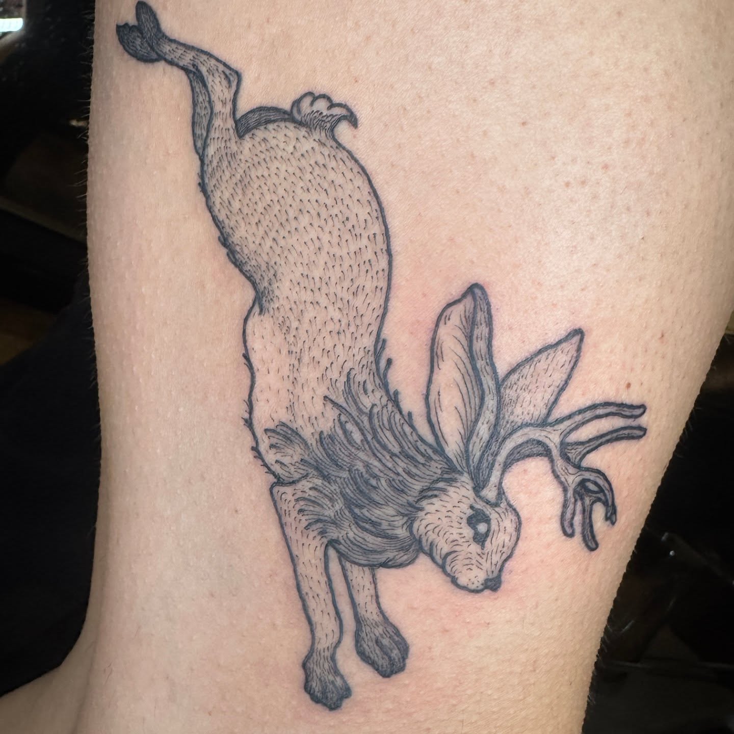Stag black and grey tattoo on the forearm by Lora Bird