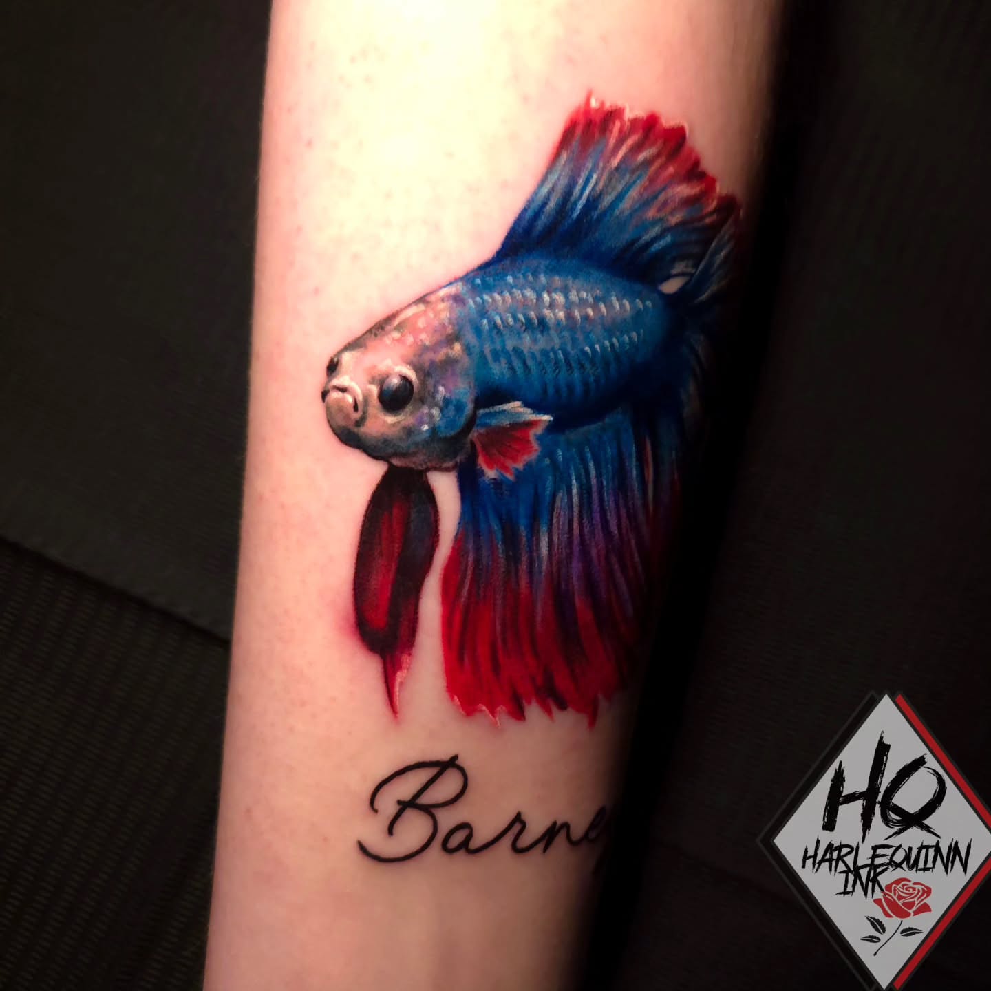 Betta fish realism tattoo on the forearm by HarleQuinn_Ink