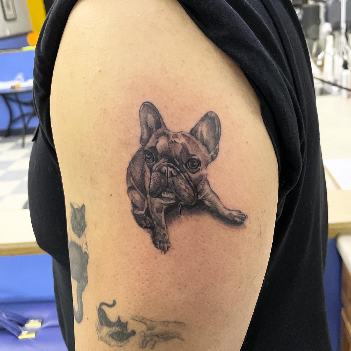 French bulldog realism tattoo on the shoulder by Manny
