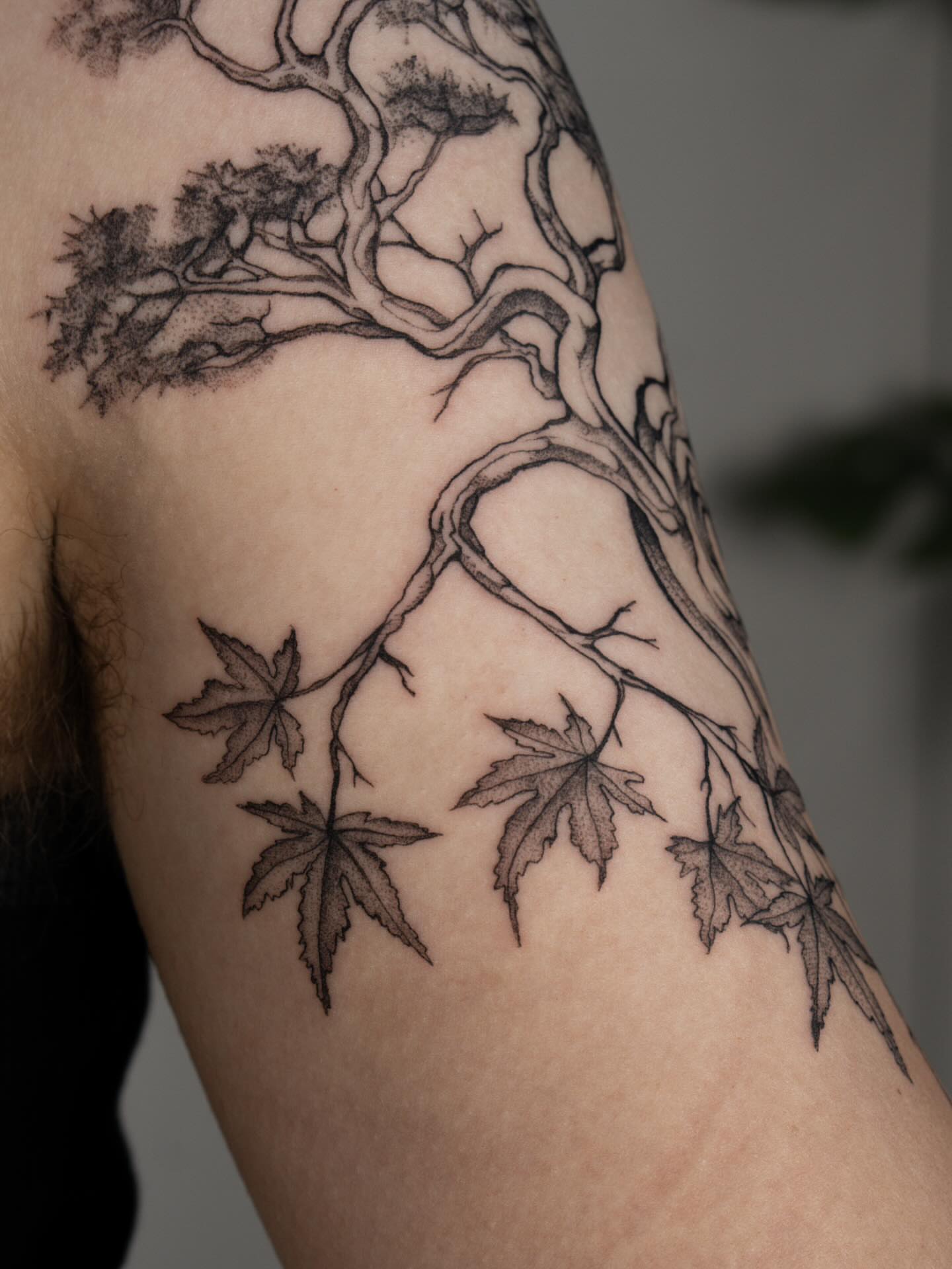 Tree with maple leaves realism tattoo on the upper arm by ᴛᴀᴛᴛᴏᴏ ᴀʀᴛɪꜱᴛ 📍Portland, OR