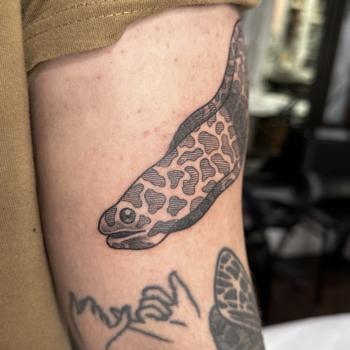 Snake black and grey tattoo on the forearm by Taylor 🍂☕️