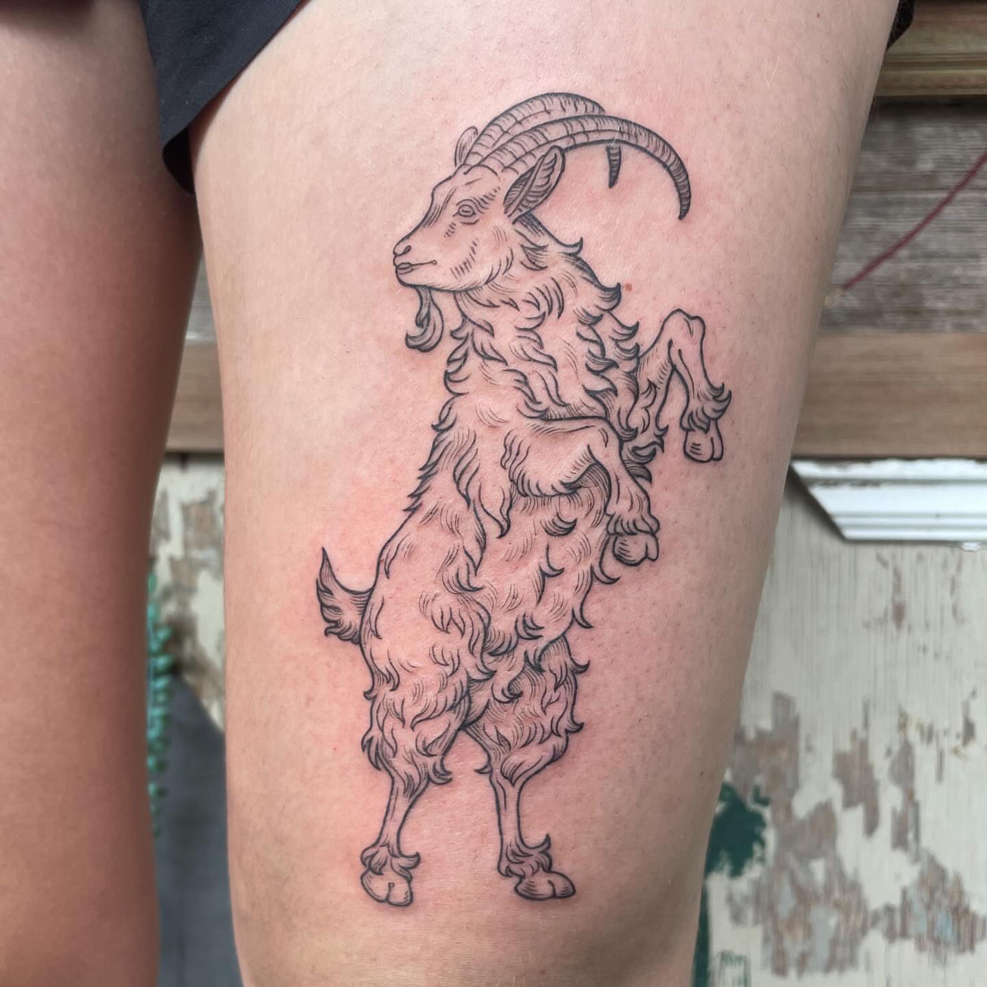 Goat black and grey tattoo on the thigh by Ally Easter, Berkeley, California