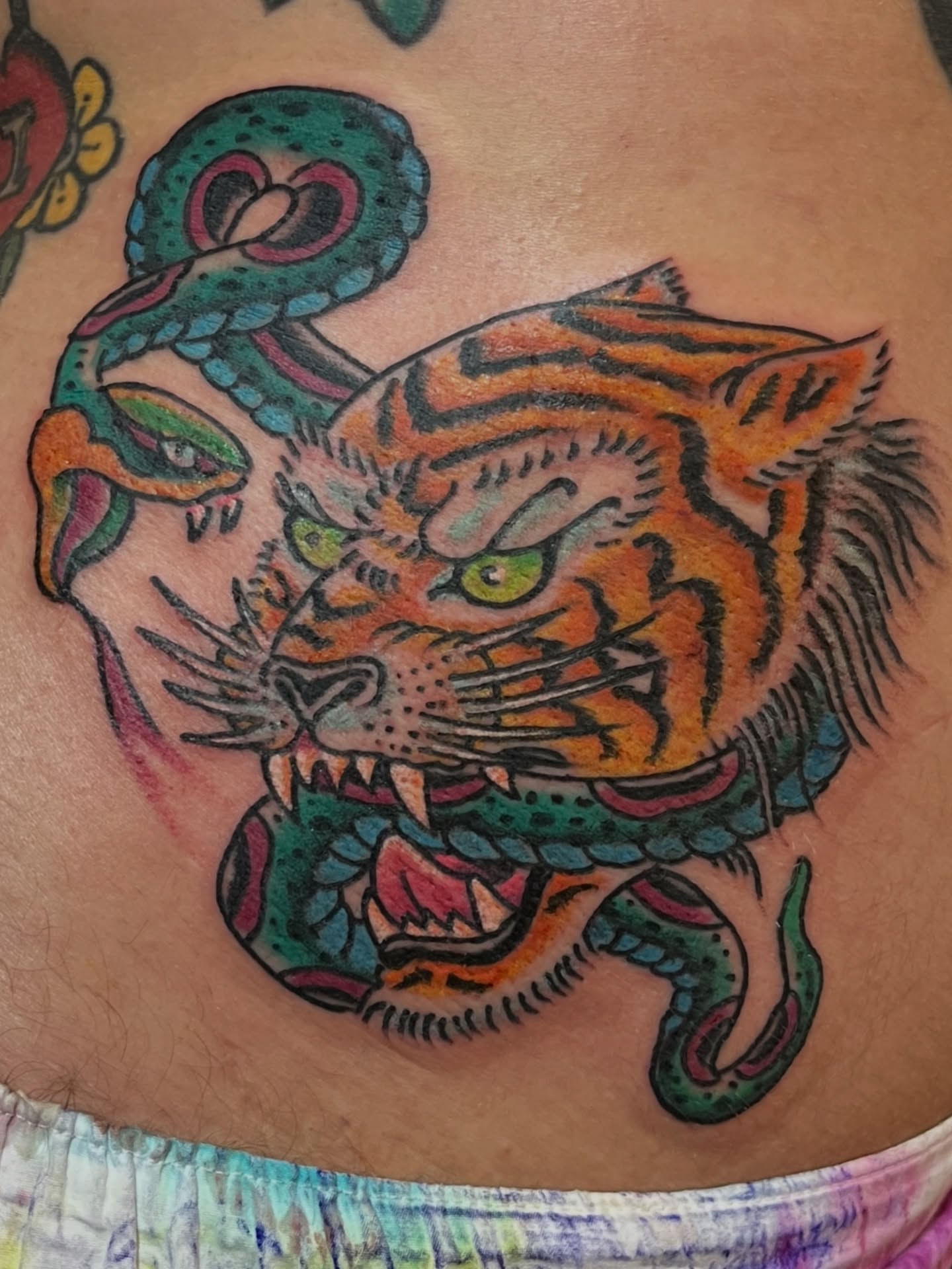 Tiger and snake American traditional tattoo on the torso by Steve Tiberi