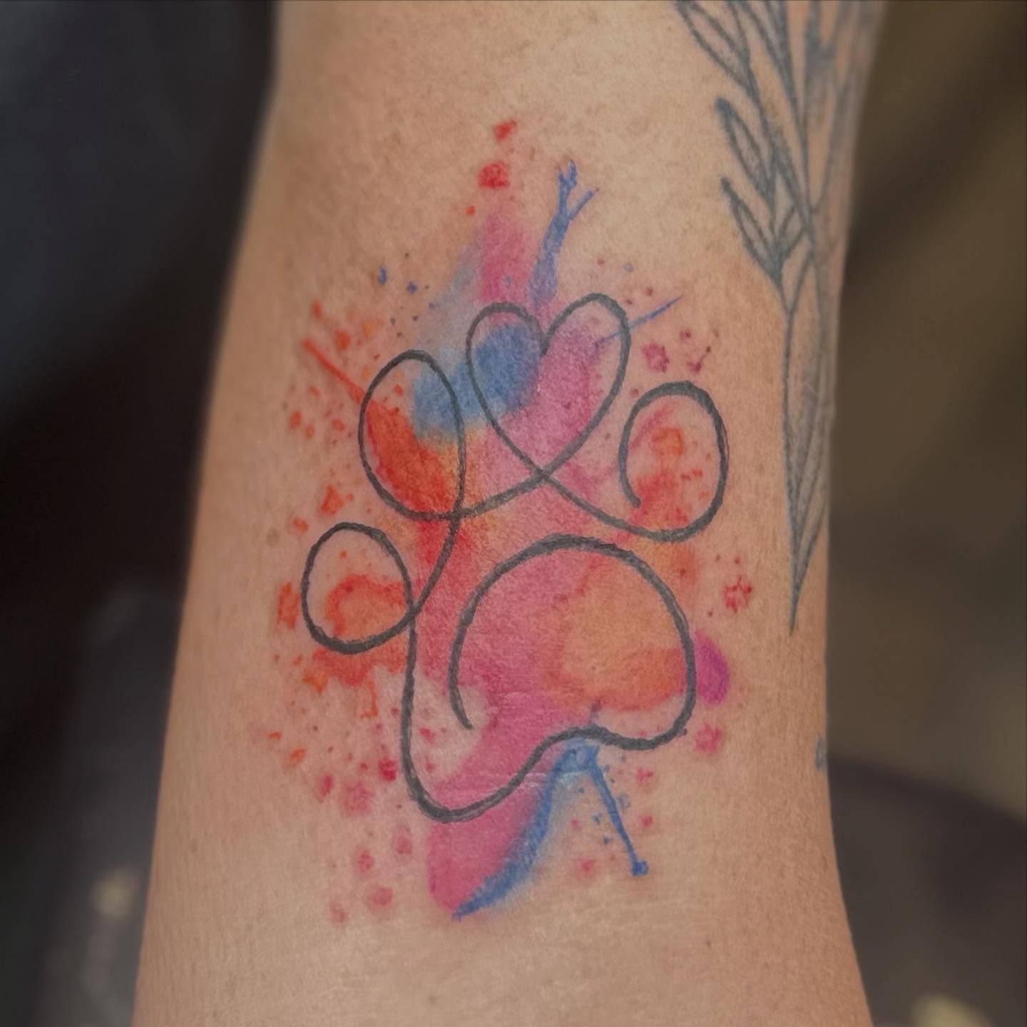 Paw print watercolor tattoo on the forearm by Zen Forbes