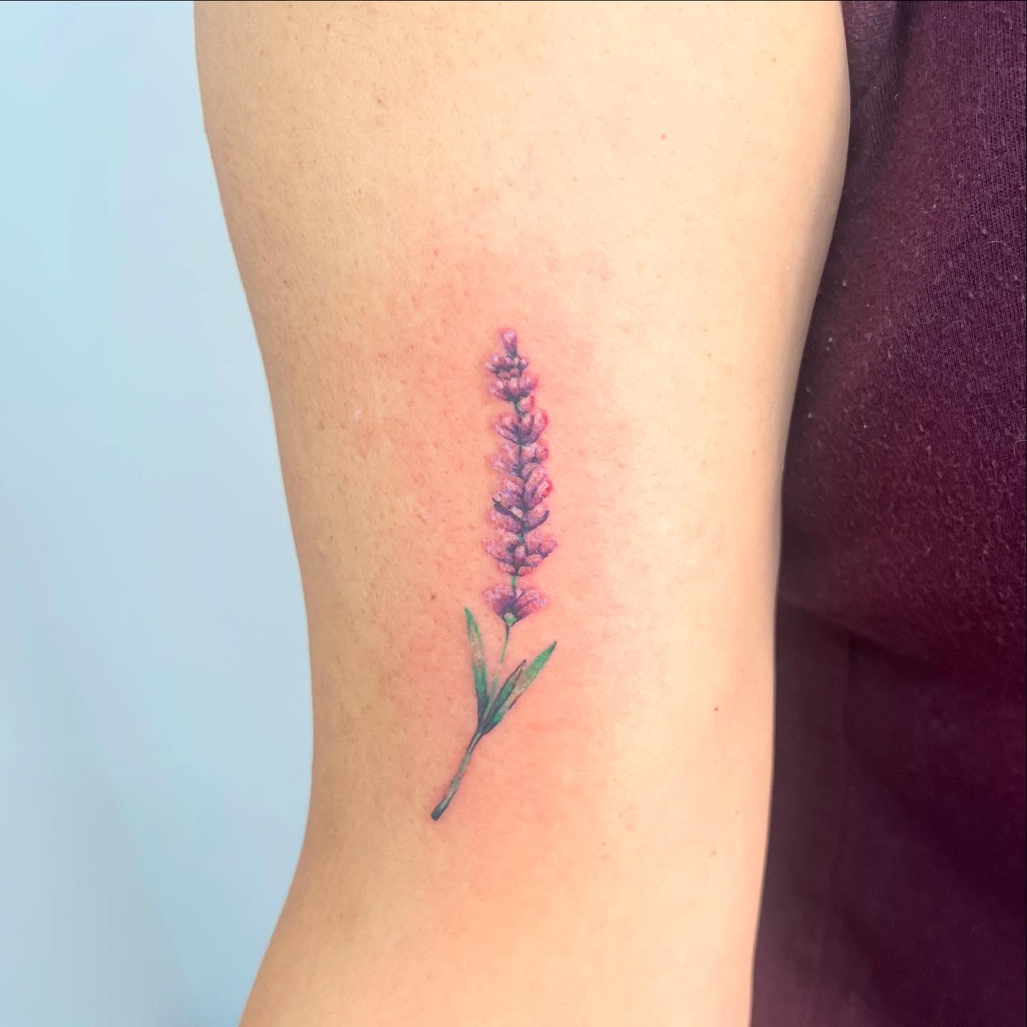 Lavender flower realism tattoo on the forearm by 🍄‍🟫🍄Moth🍄🍄‍🟫